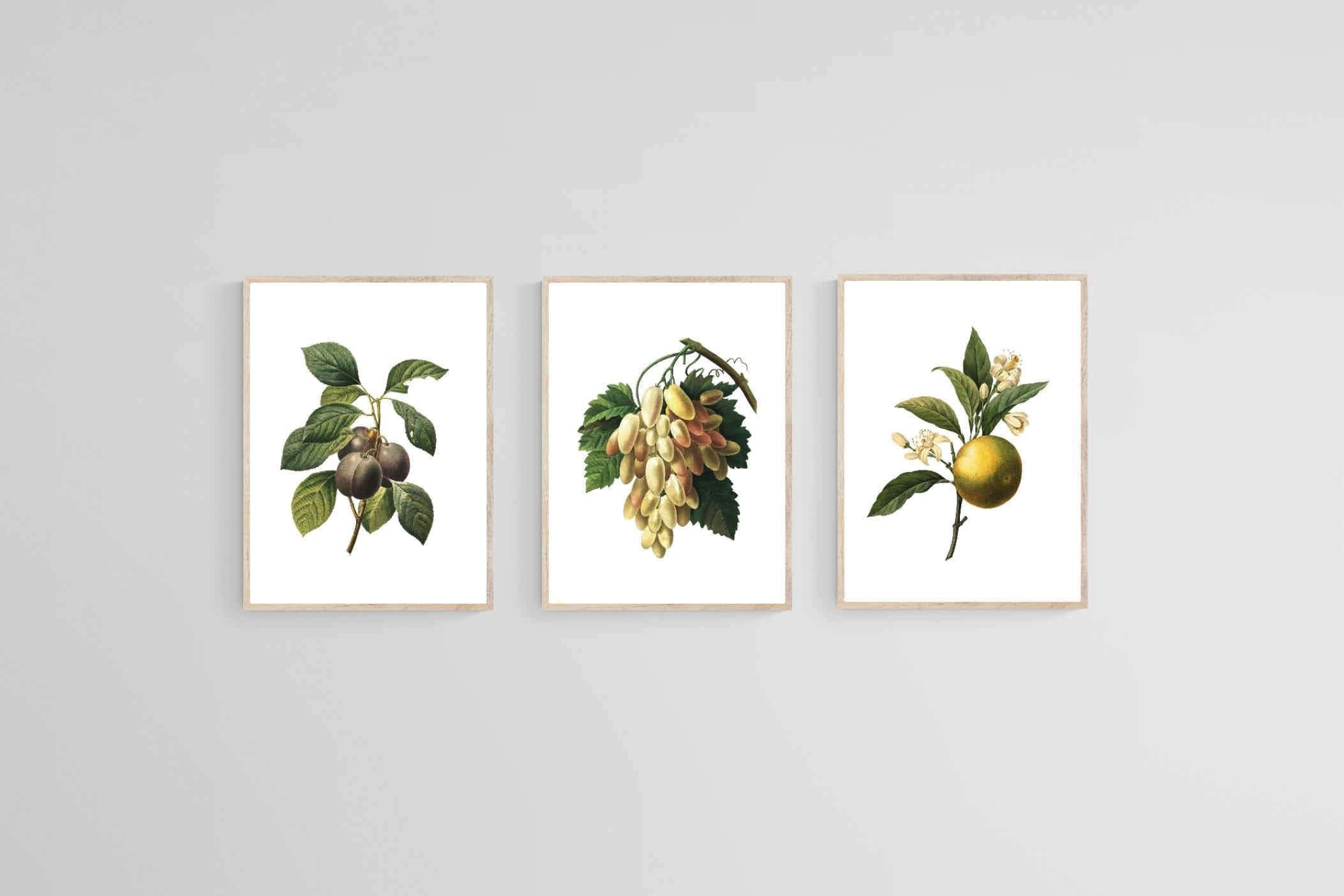 Belles Fleurs Naturels-Wall_Art-45 x 60cm (x3)-Mounted Canvas-Wood-Pixalot