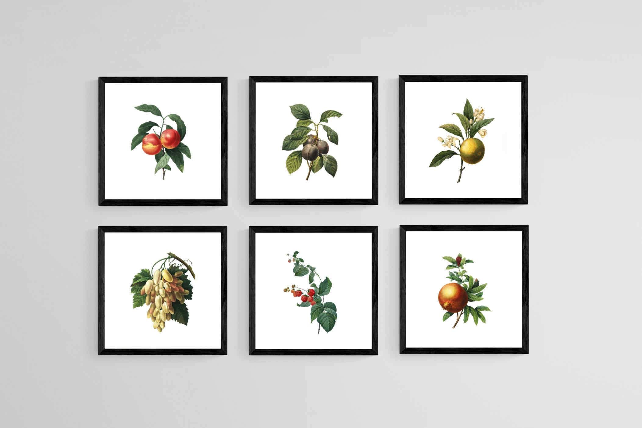 Belles Fleurs-Wall_Art-30 x 30cm (x6)-Mounted Canvas-Black-Pixalot