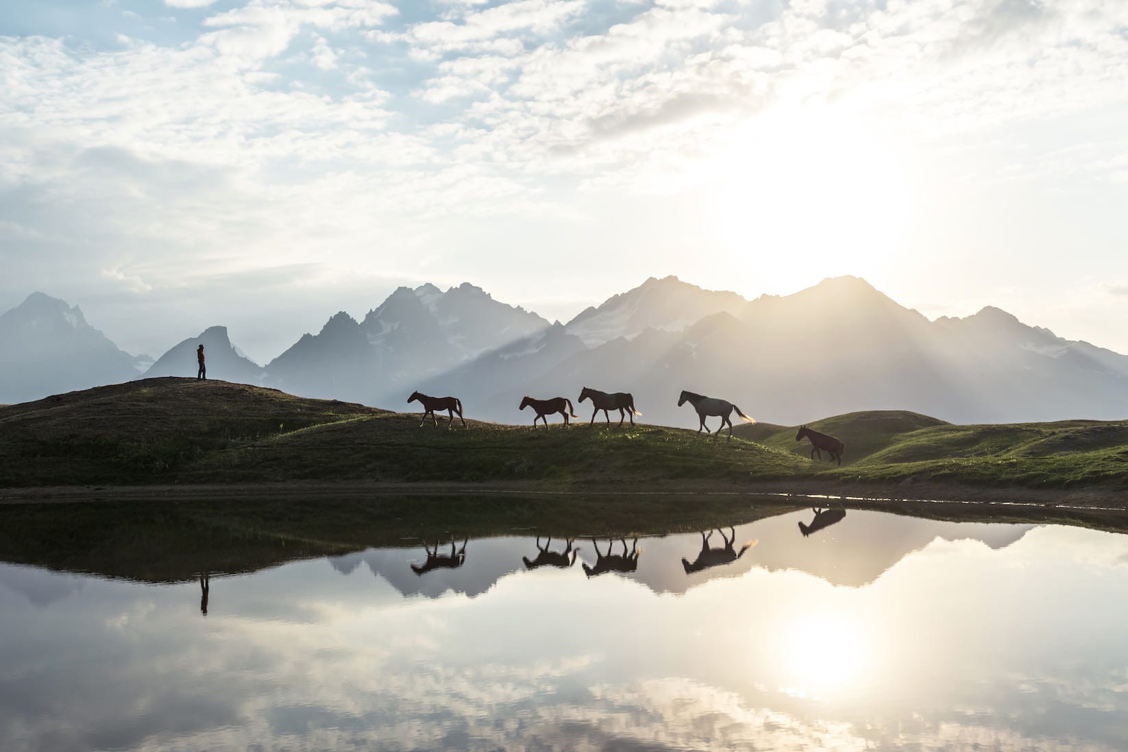 Equine Family-Wall_Art-Pixalot