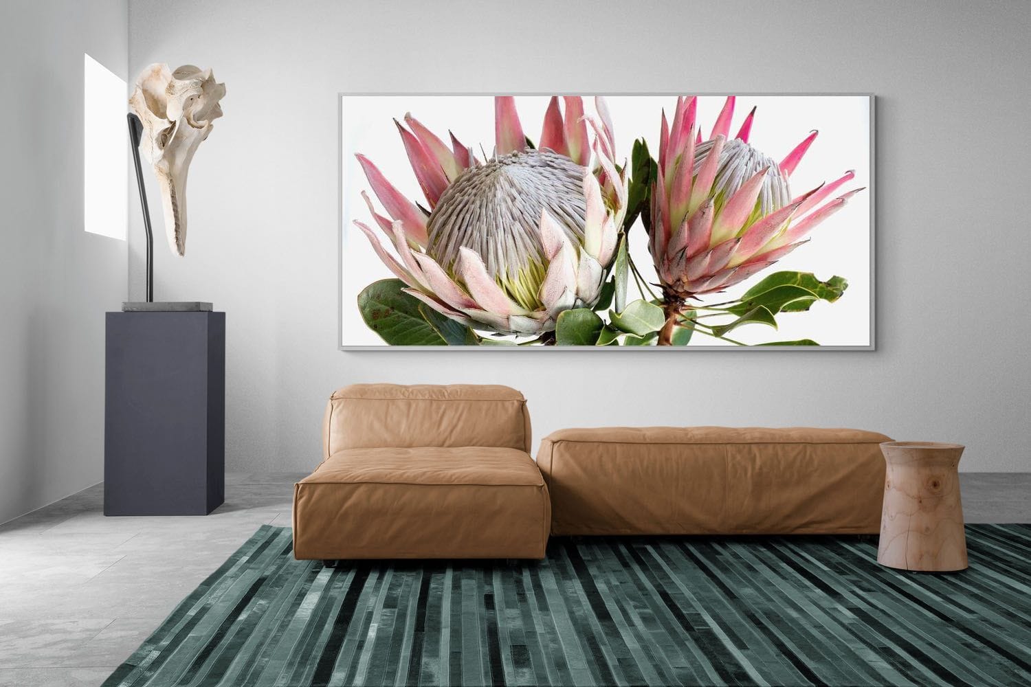 Pixalot King Proteas