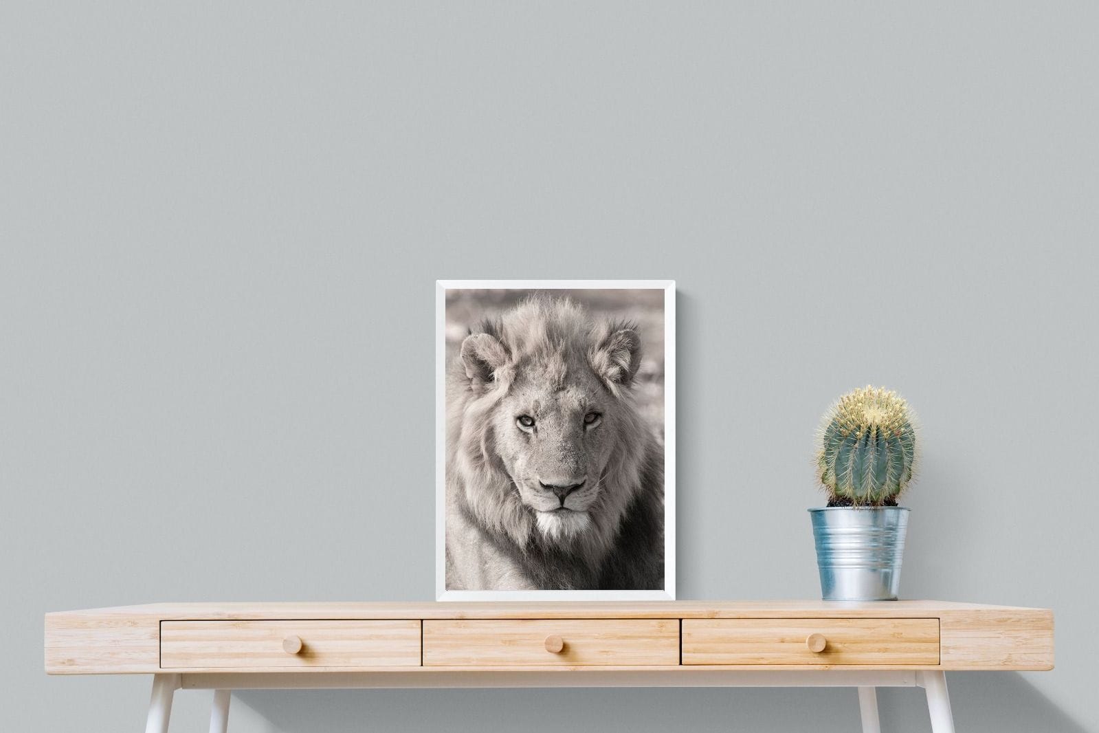 Lion Eyes-Wall_Art-45 x 60cm-Mounted Canvas-White-Pixalot