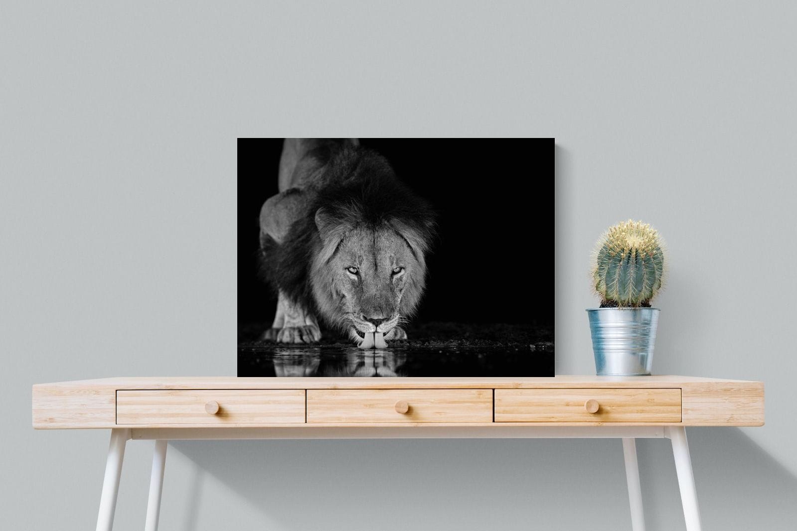 Lion Lake-Wall_Art-80 x 60cm-Mounted Canvas-No Frame-Pixalot