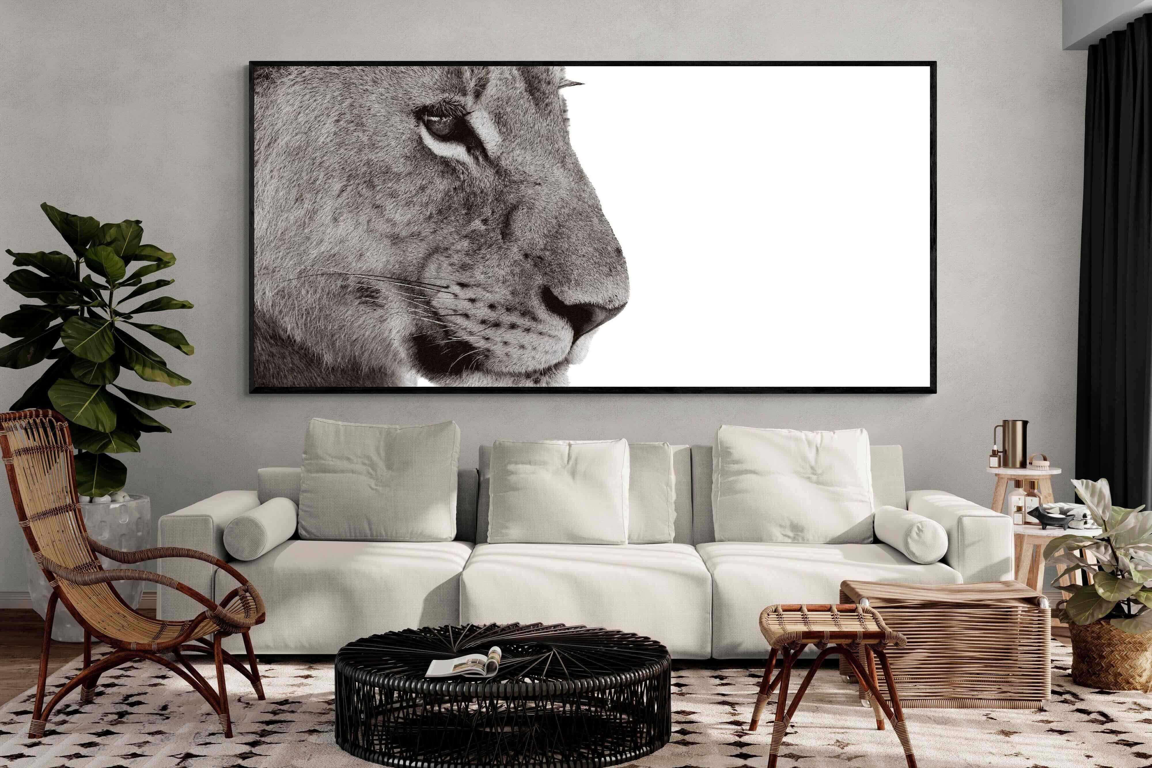 Pixalot Lioness Gaze