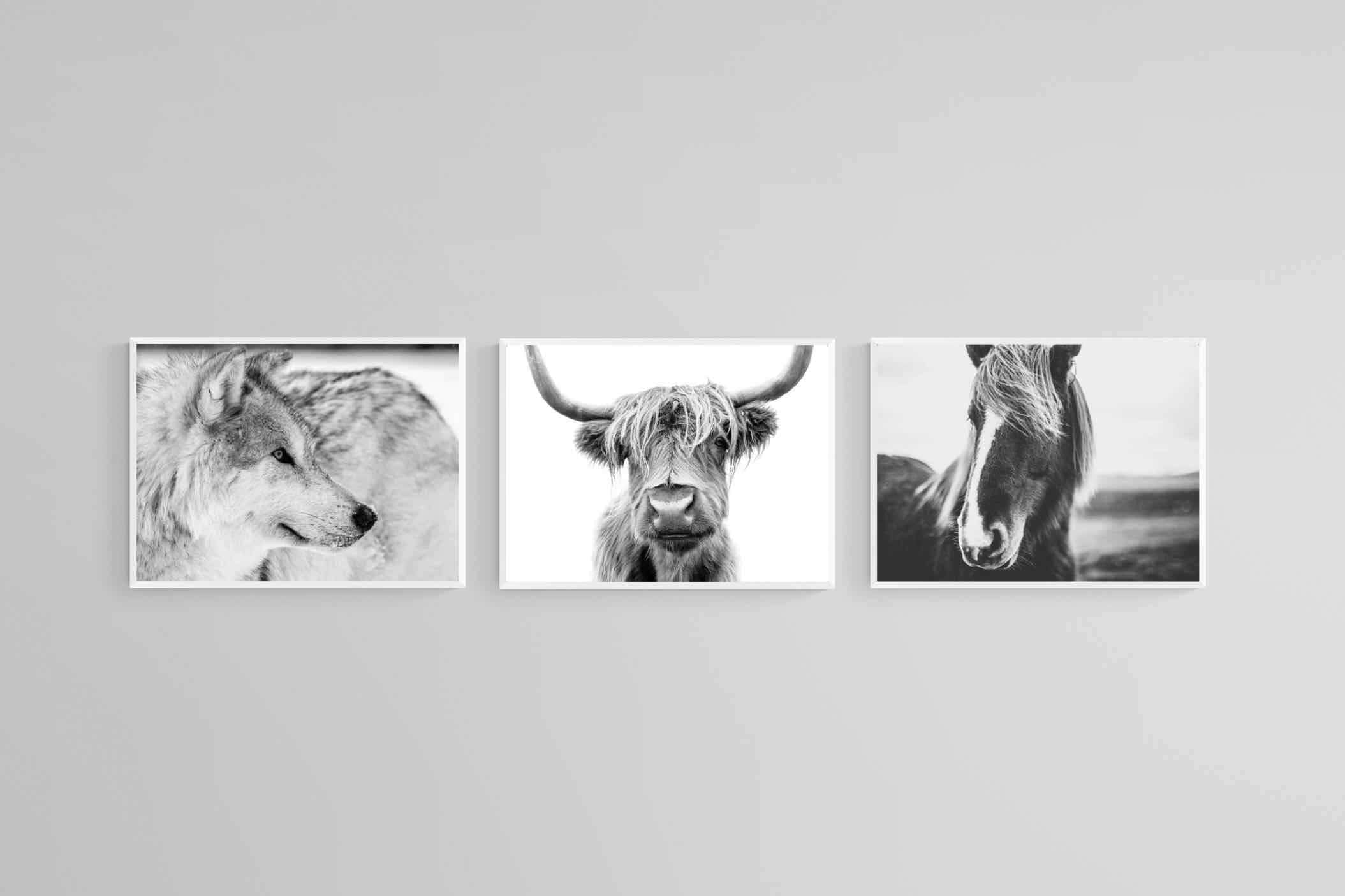 Nordic Animals Set-Wall_Art-60 x 45cm (x3)-Mounted Canvas-White-Pixalot