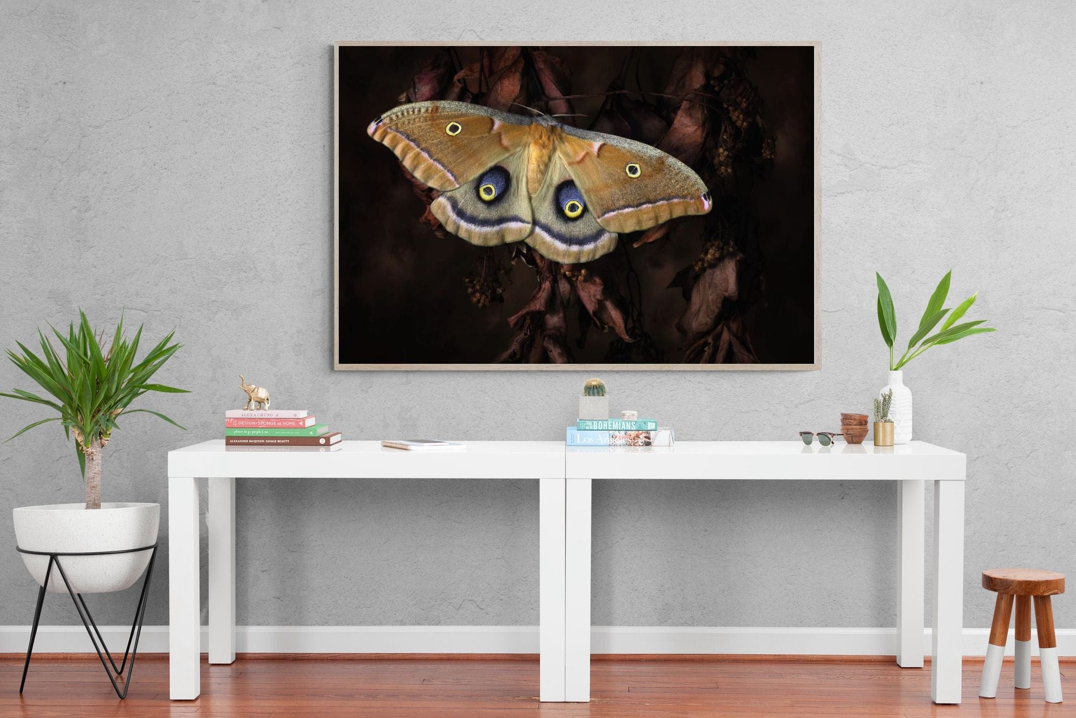 Polyphemus-Wall_Art-150 x 100cm-Mounted Canvas-Wood-Pixalot