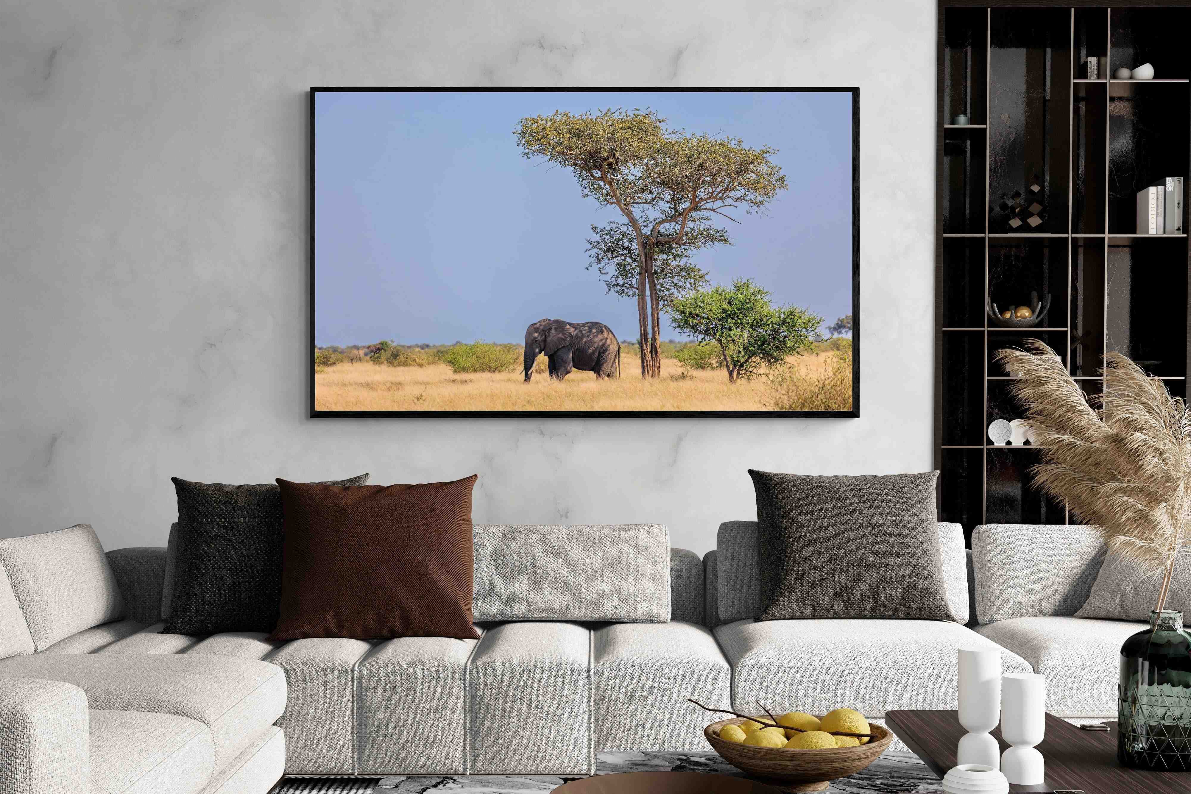 Pixalot Shady Elephant