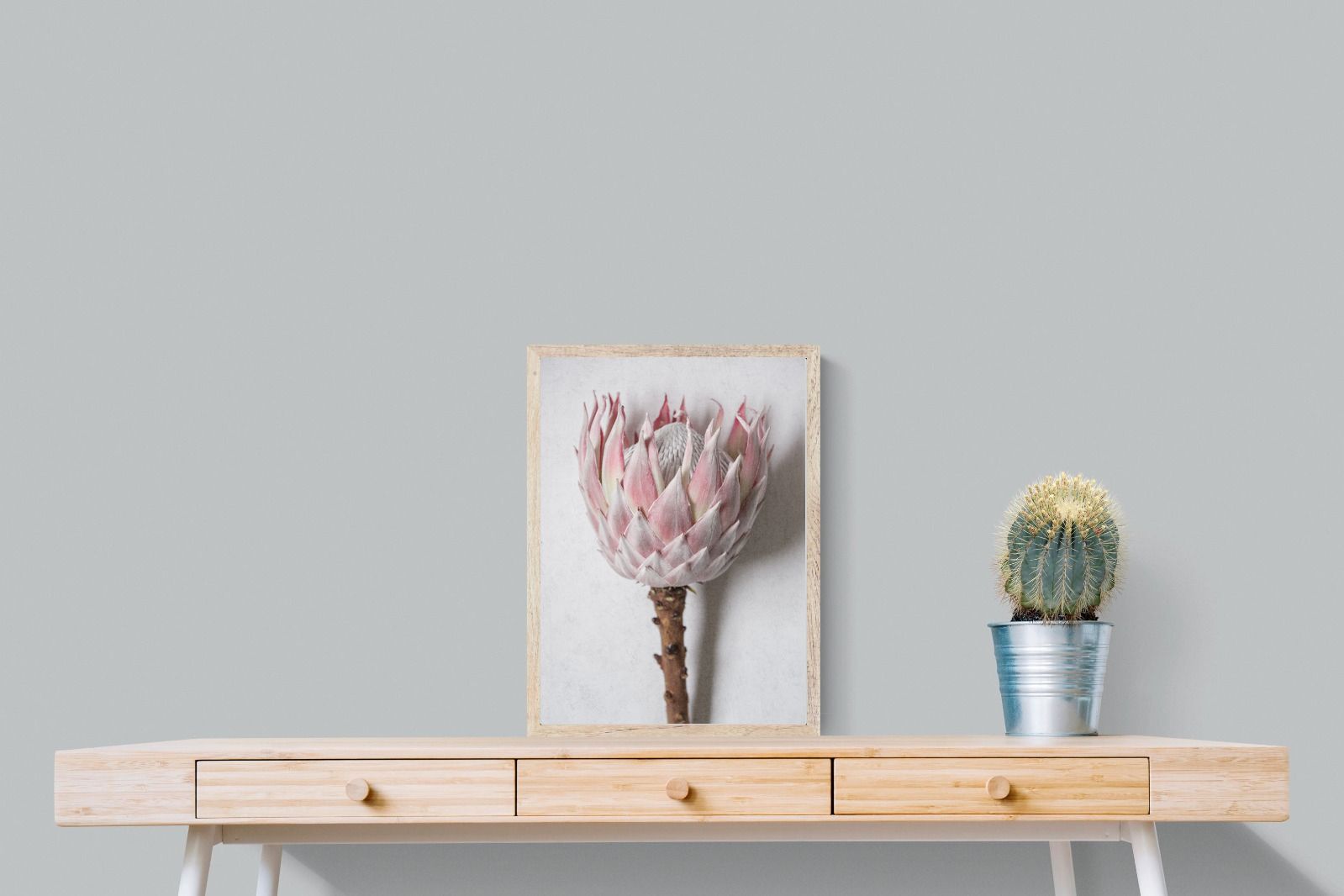 Pixalot Single Pink King Protea