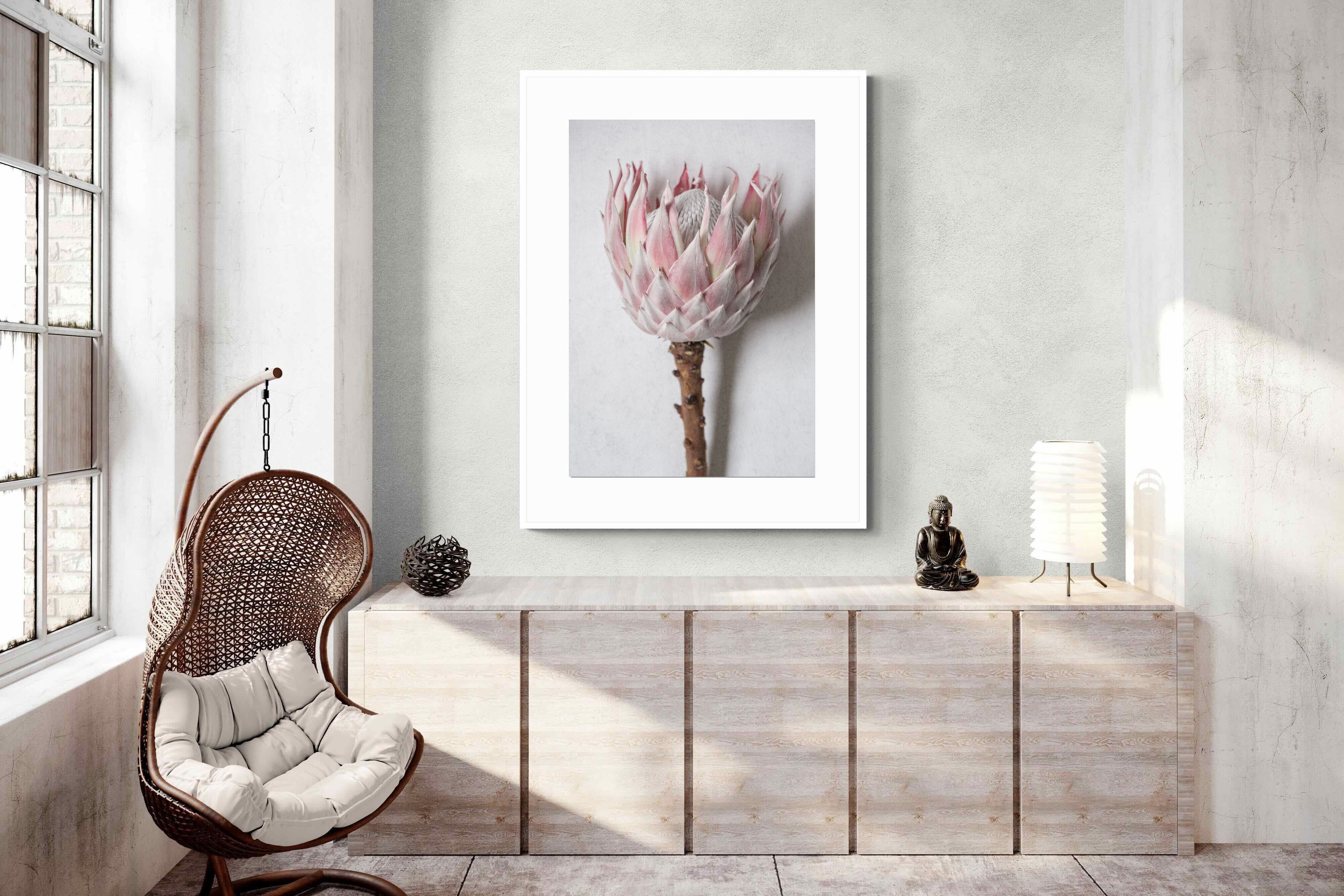 Pixalot Single Pink King Protea