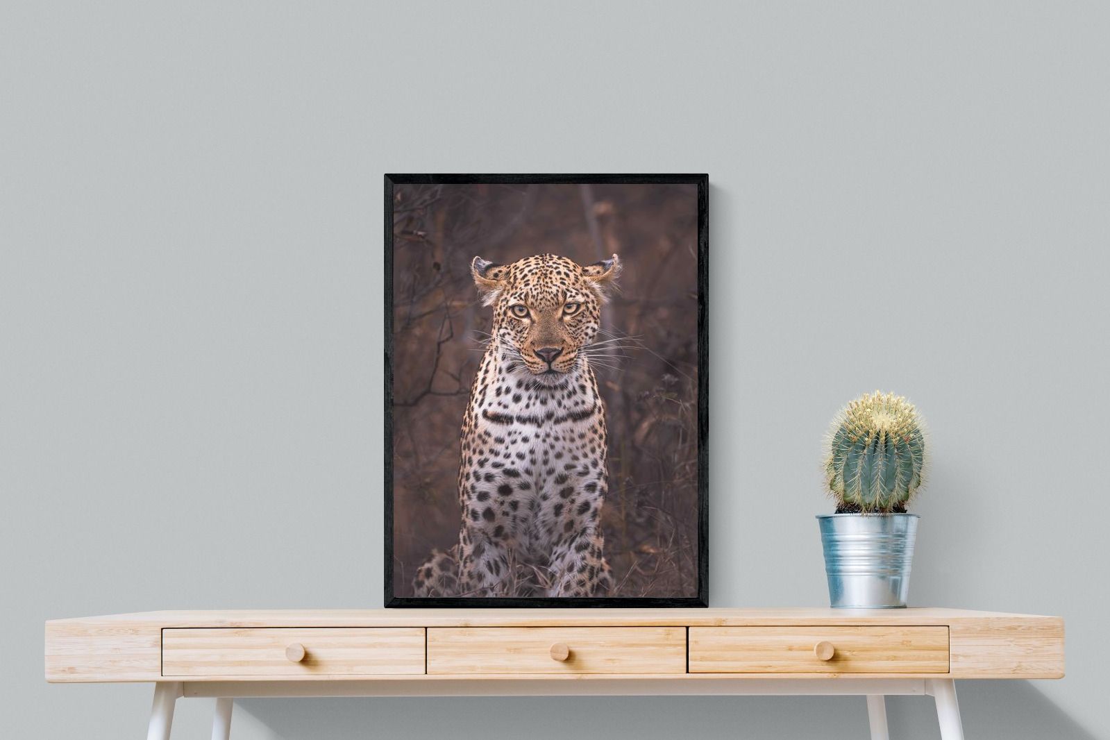 Pixalot Sovereign Gaze