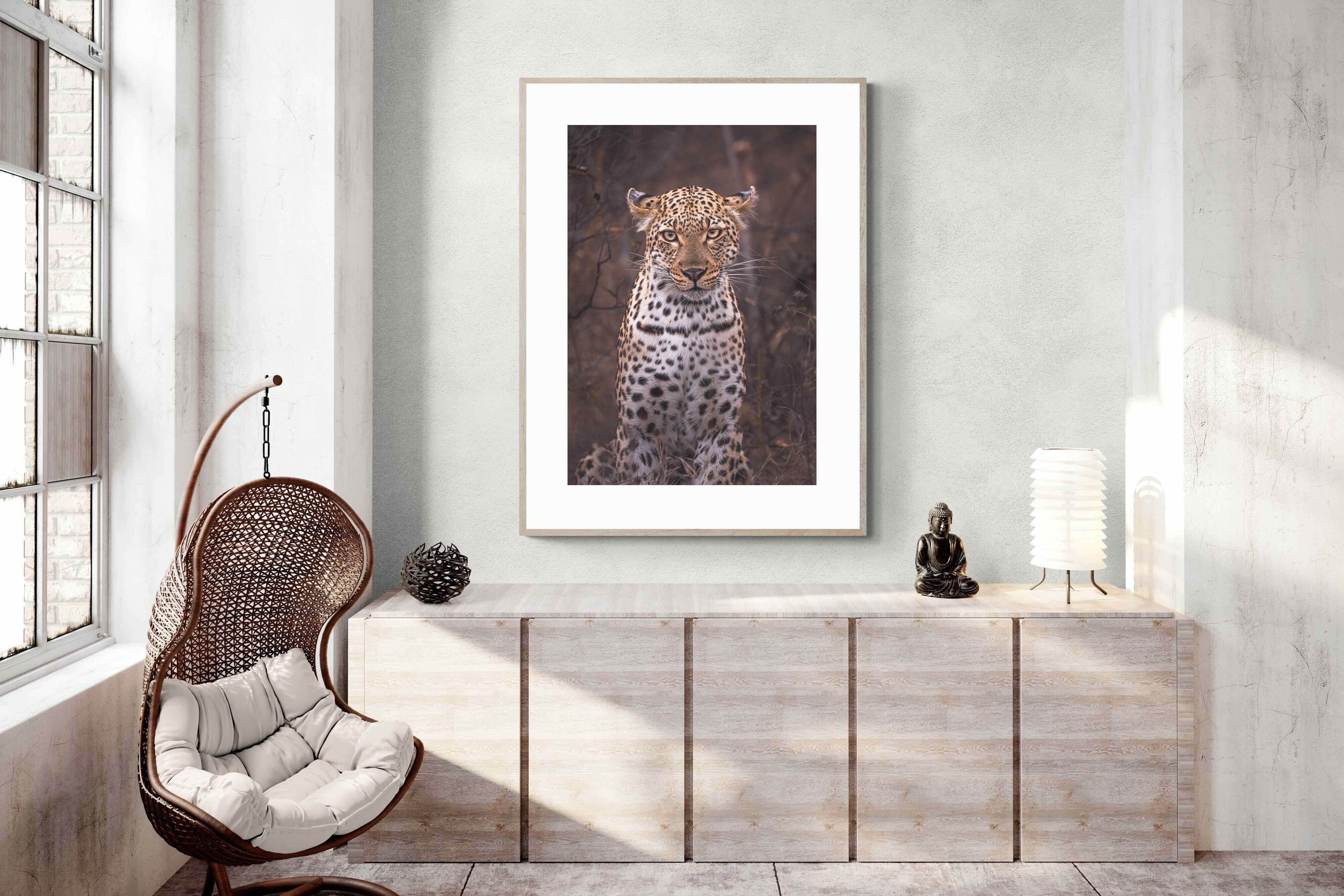 Pixalot Sovereign Gaze