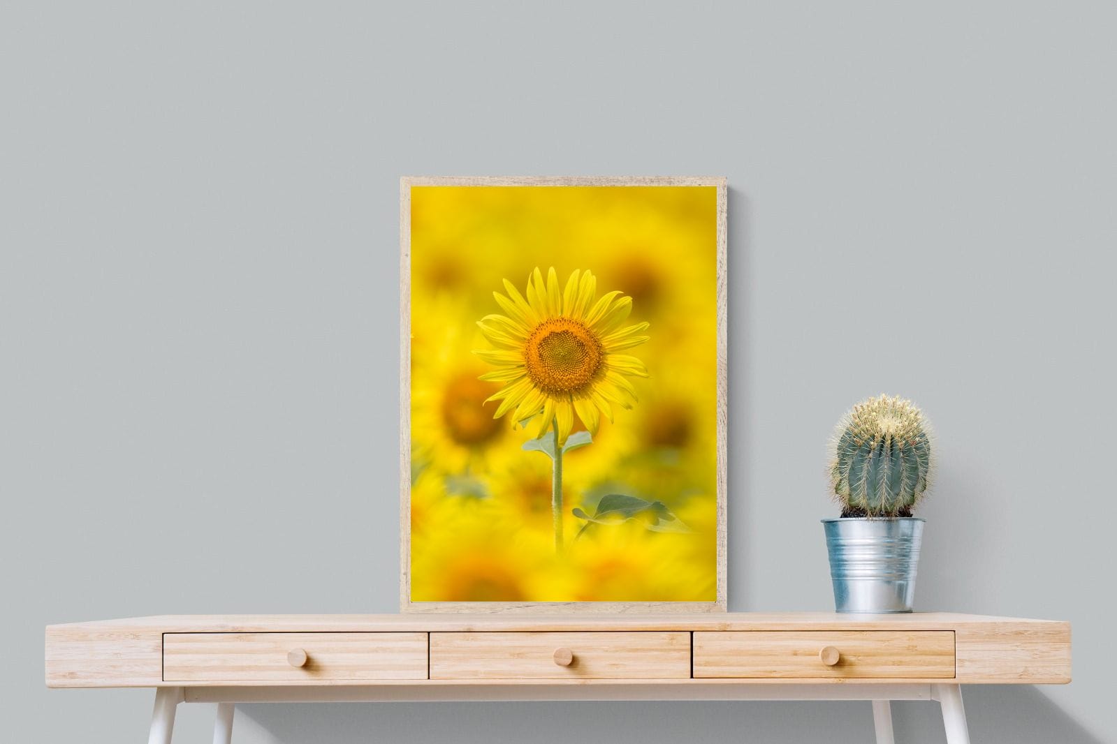 Sunniest Sunflower-Wall_Art-60 x 80cm-Mounted Canvas-Wood-Pixalot