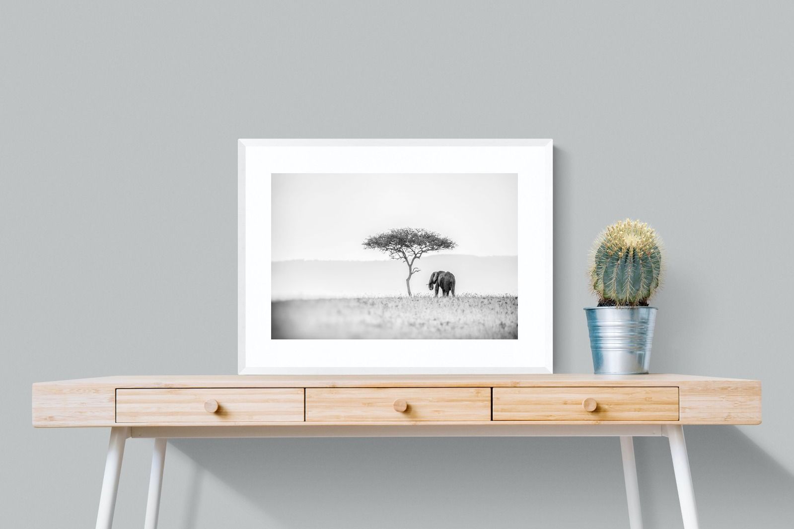 Pixalot Thorny Umbrella