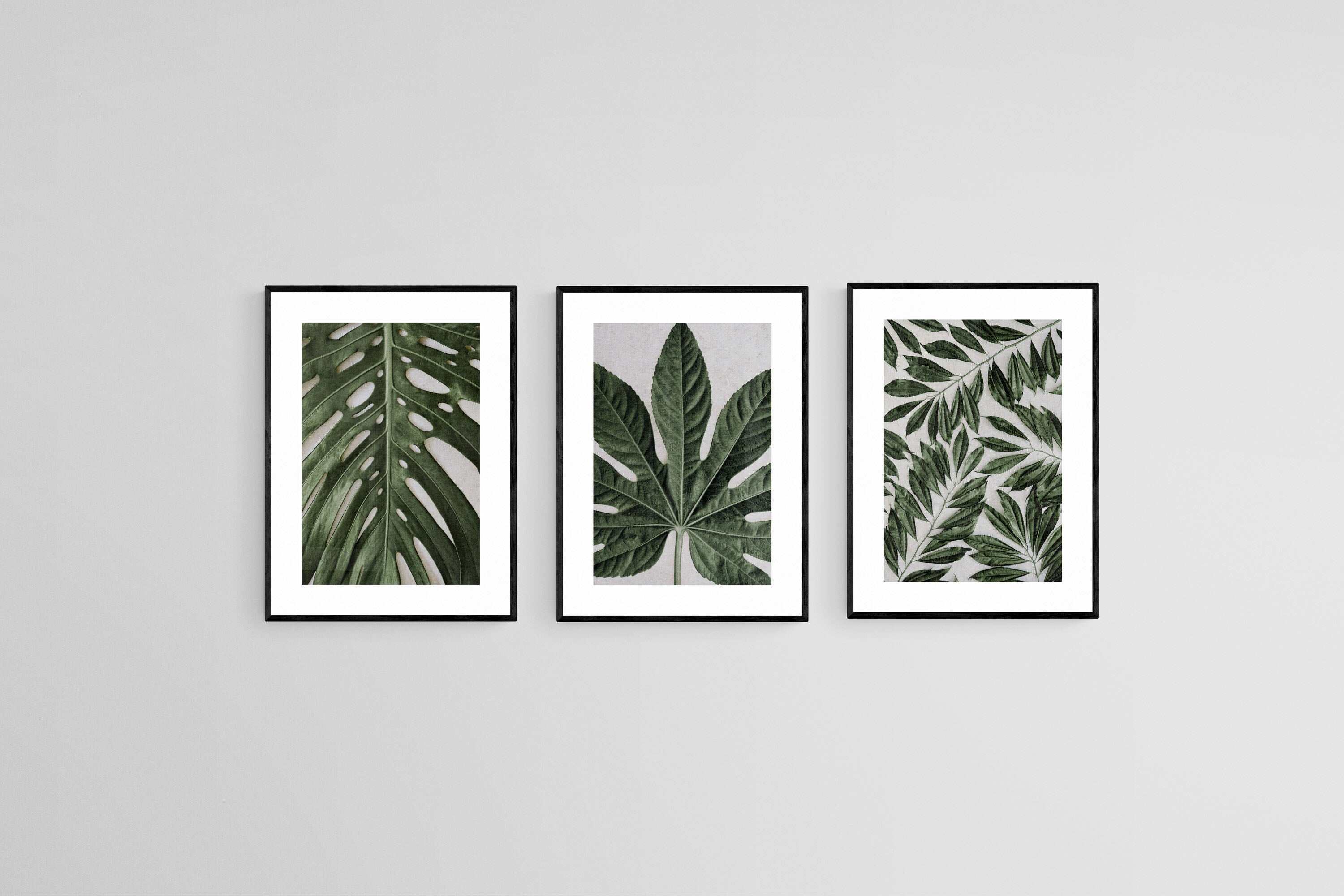 Tropical Leaves Set-Wall_Art-45 x 60cm (x3)-Framed Print-Black-Pixalot