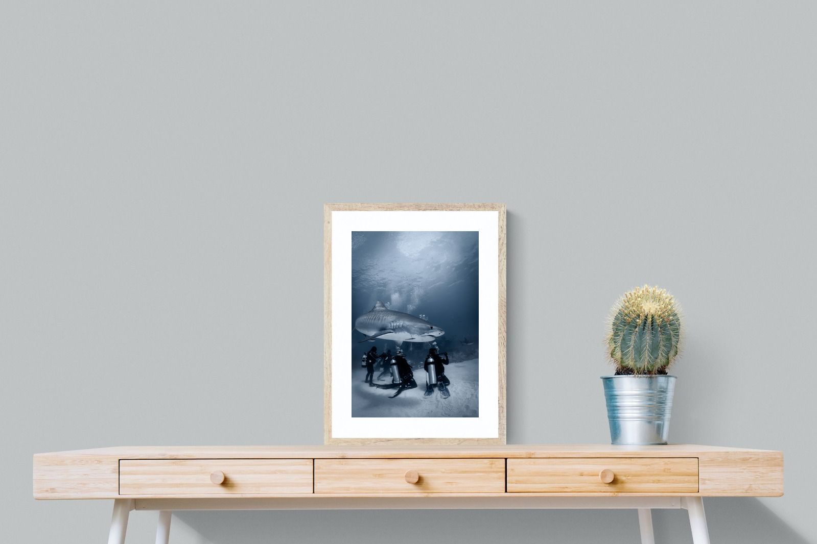 Pixalot Underwater Audience