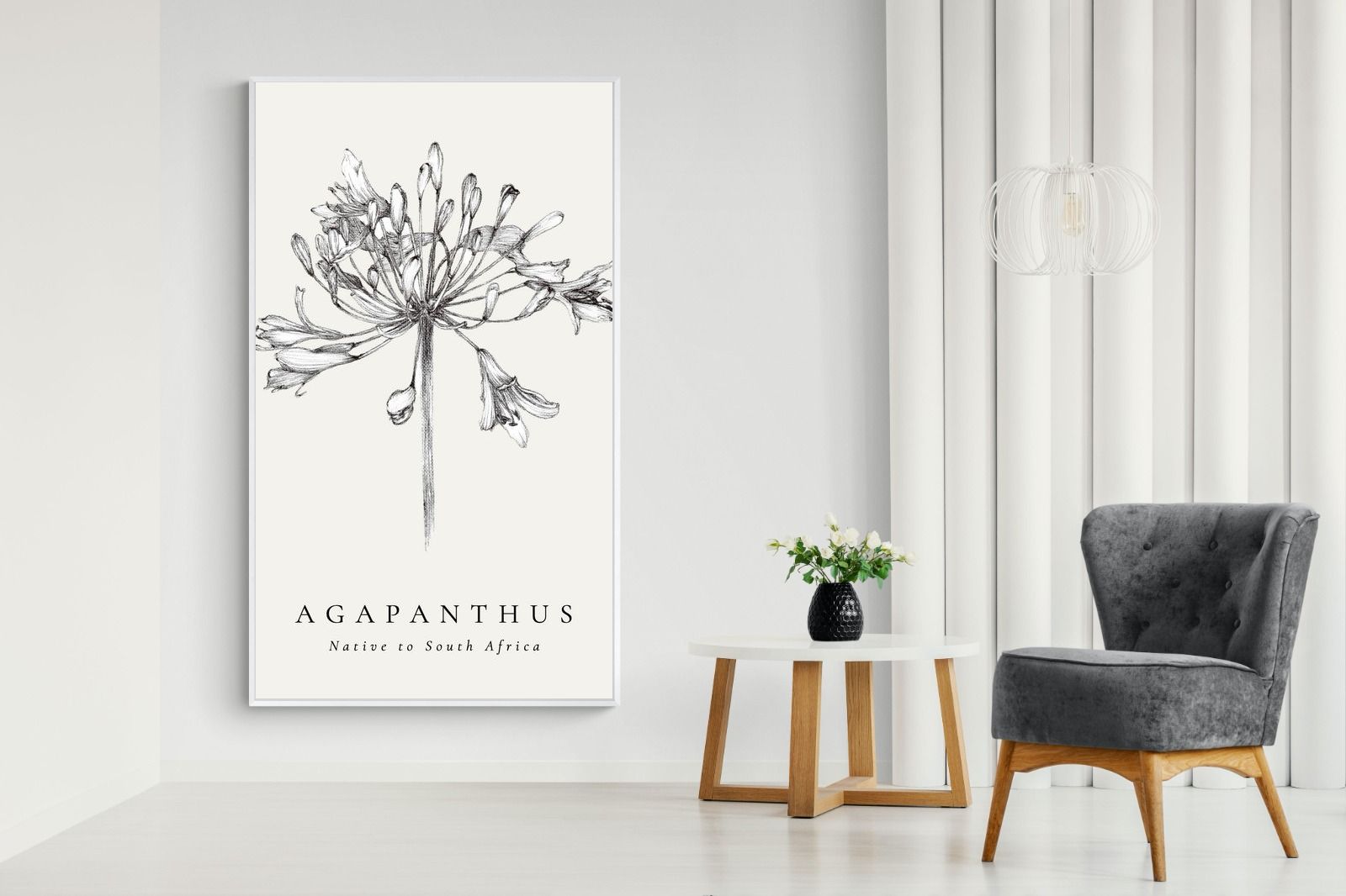 Pixalot ® Agapanthus Illustration