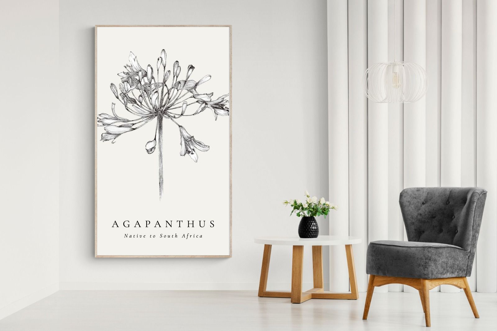 Pixalot ® Agapanthus Illustration