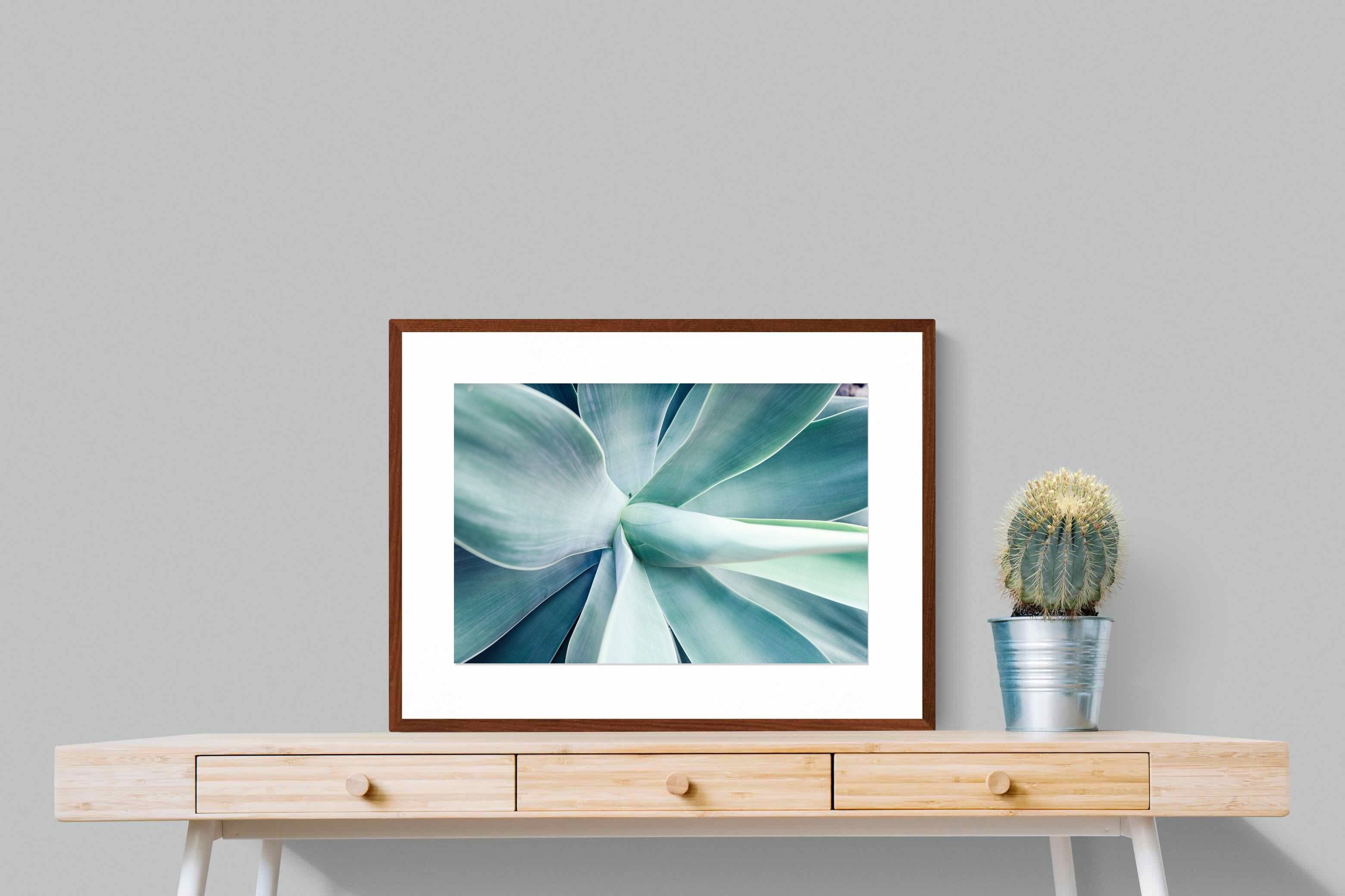 Pixalot ® Agave
