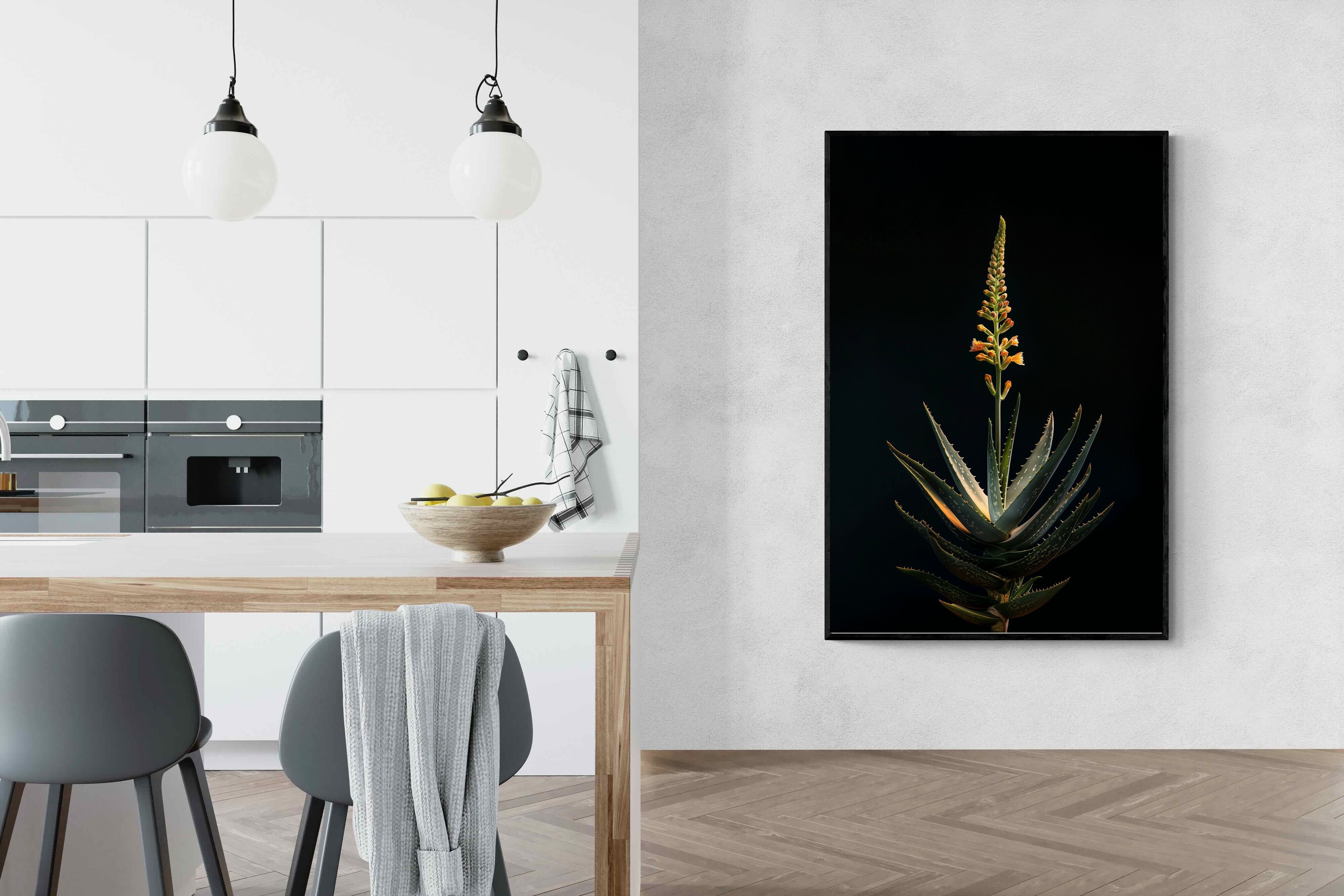 Pixalot Aloe Ascension