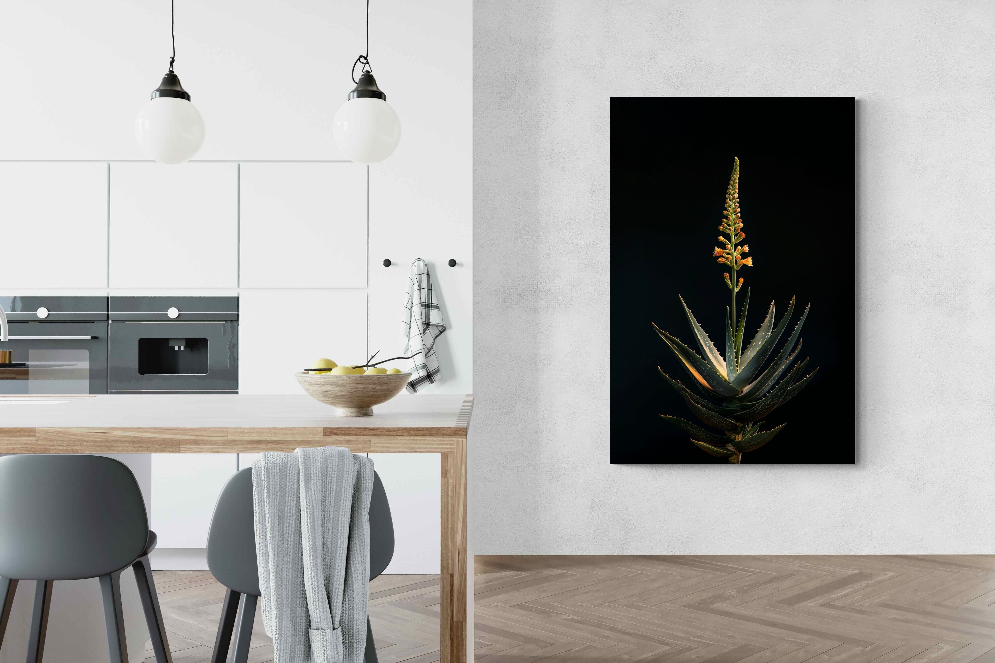 Pixalot Aloe Ascension