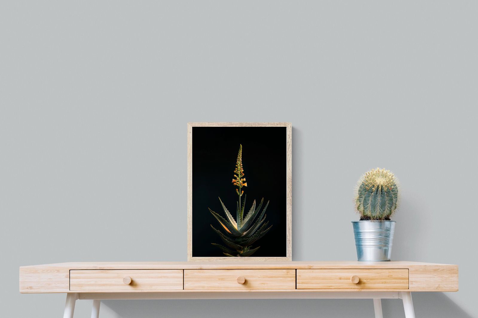 Pixalot Aloe Ascension