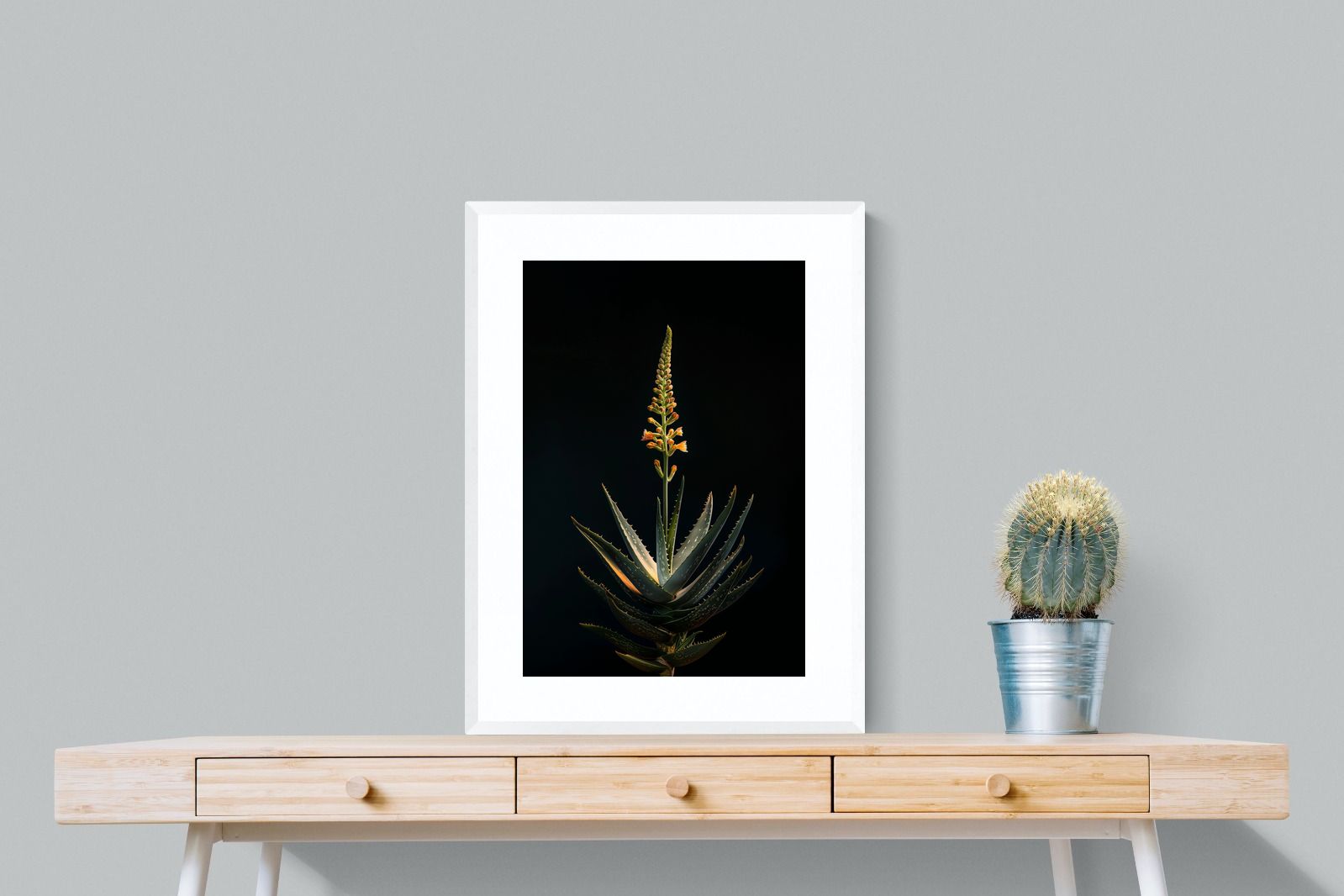 Pixalot Aloe Ascension