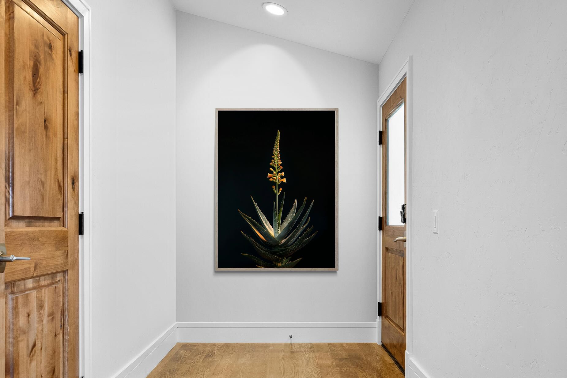 Pixalot Aloe Ascension