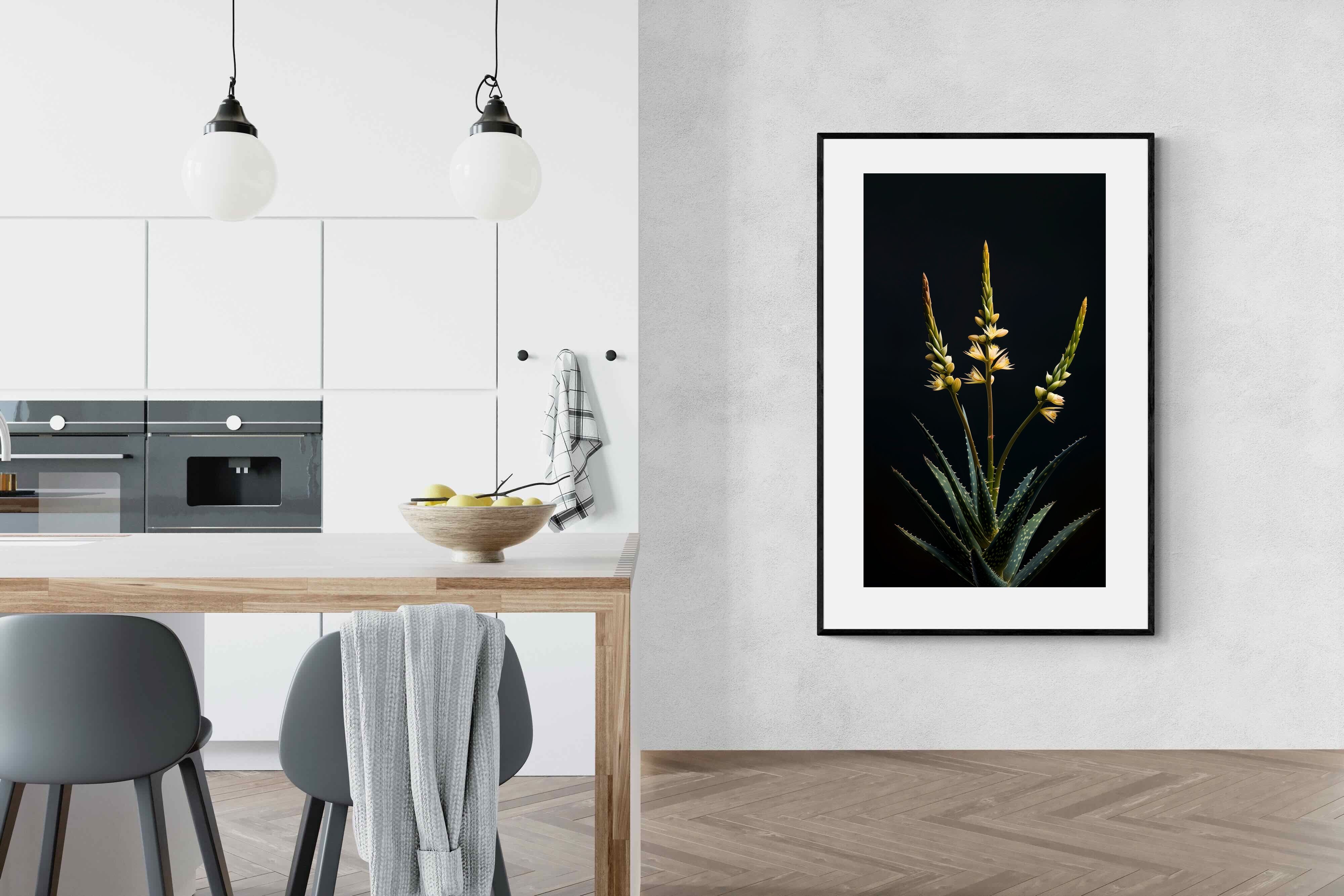 Pixalot Aloe Triad