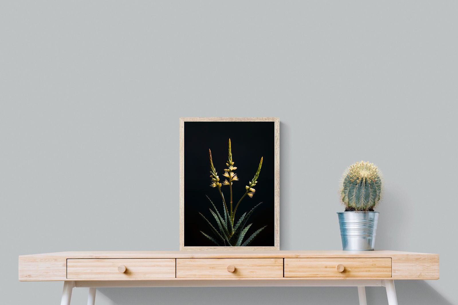 Pixalot Aloe Triad
