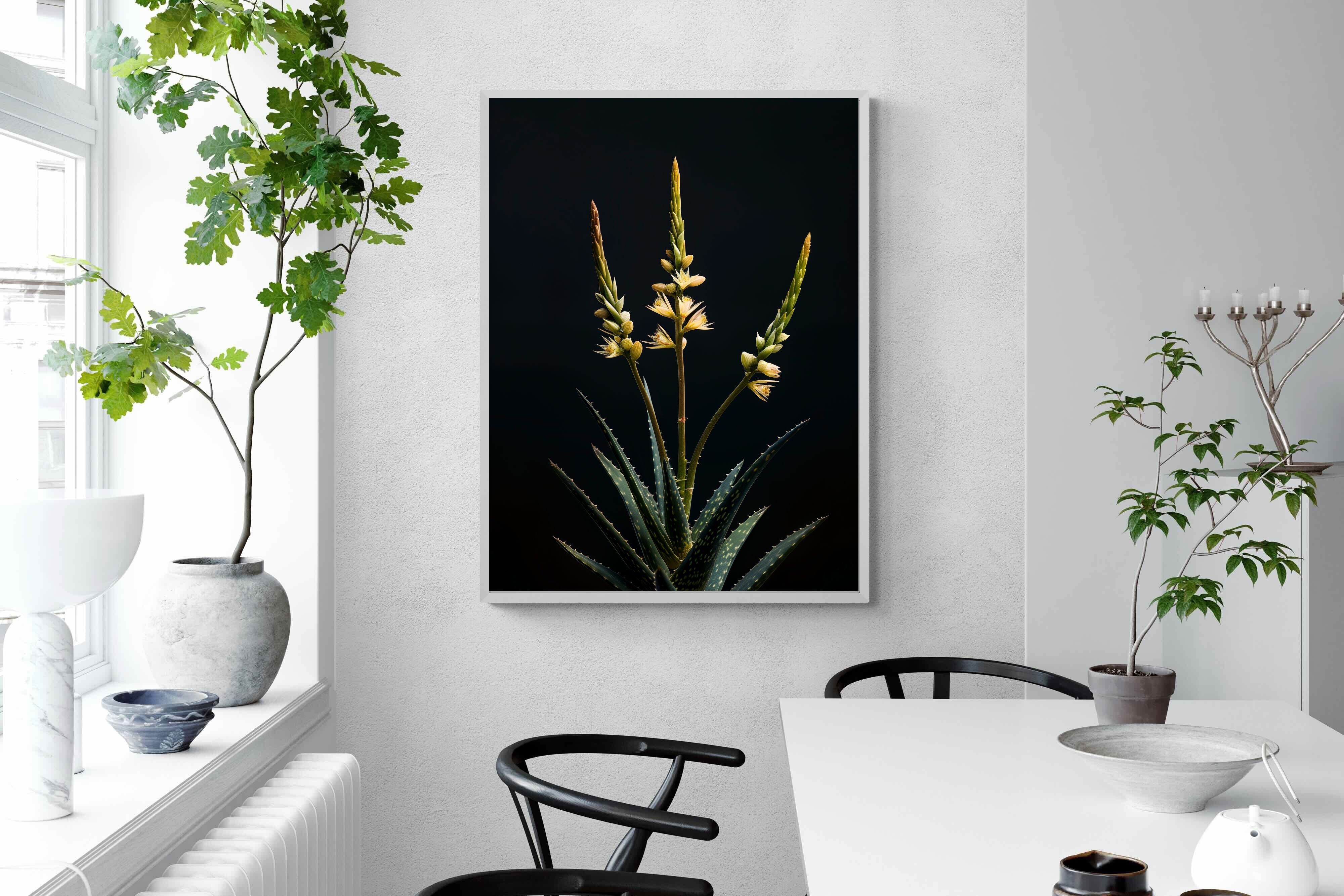 Pixalot Aloe Triad