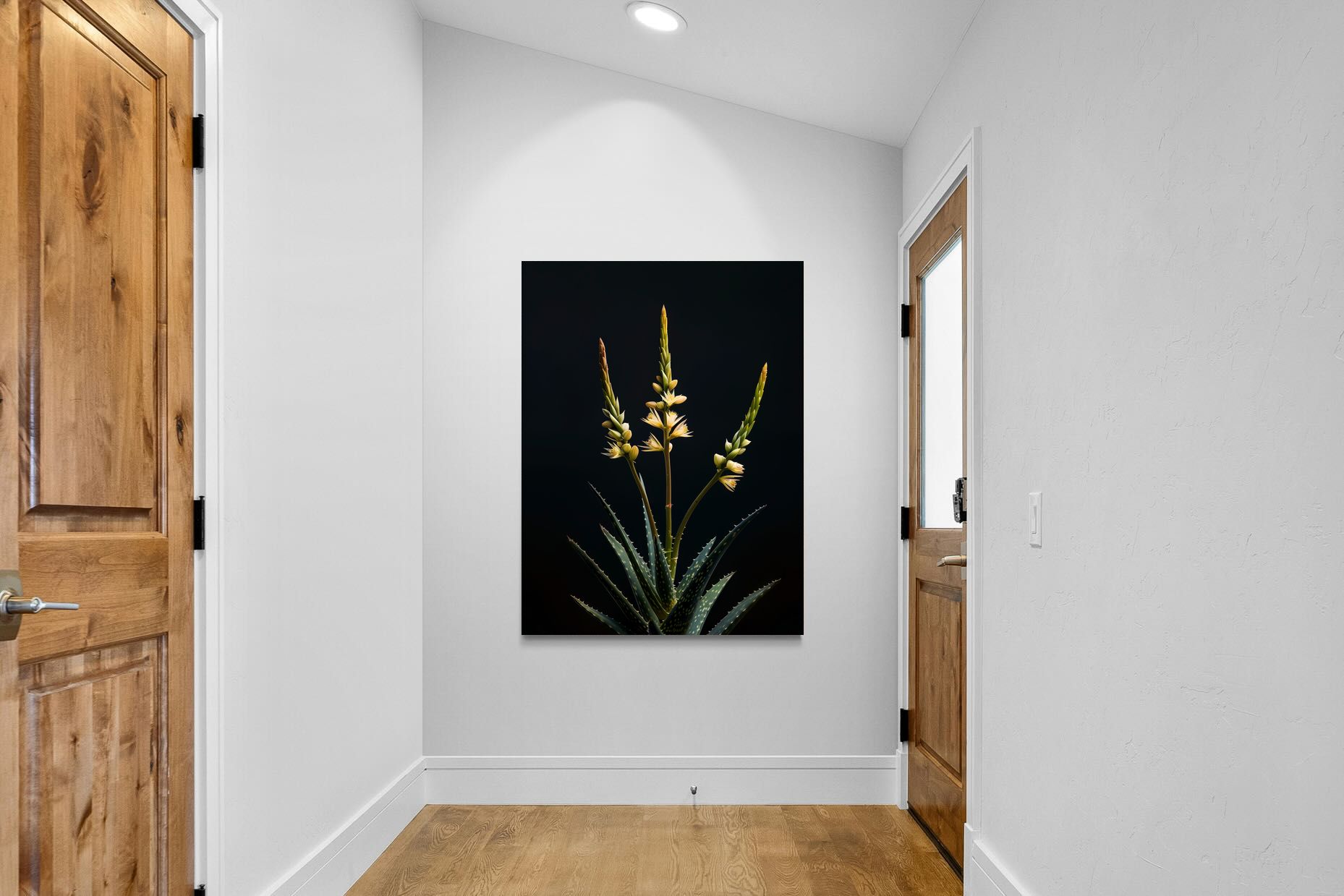 Pixalot Aloe Triad