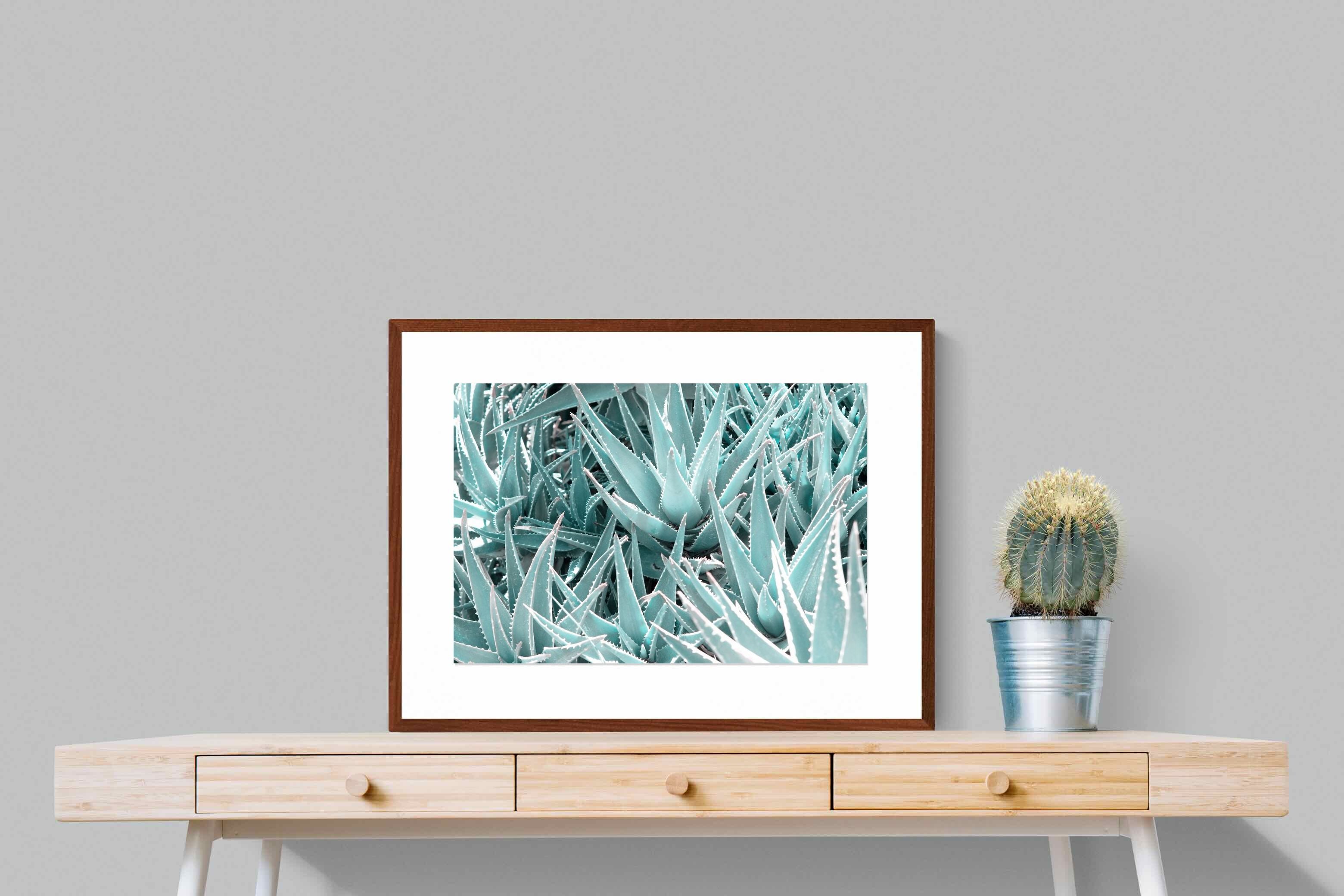 Pixalot ® Aloe Vera Macro