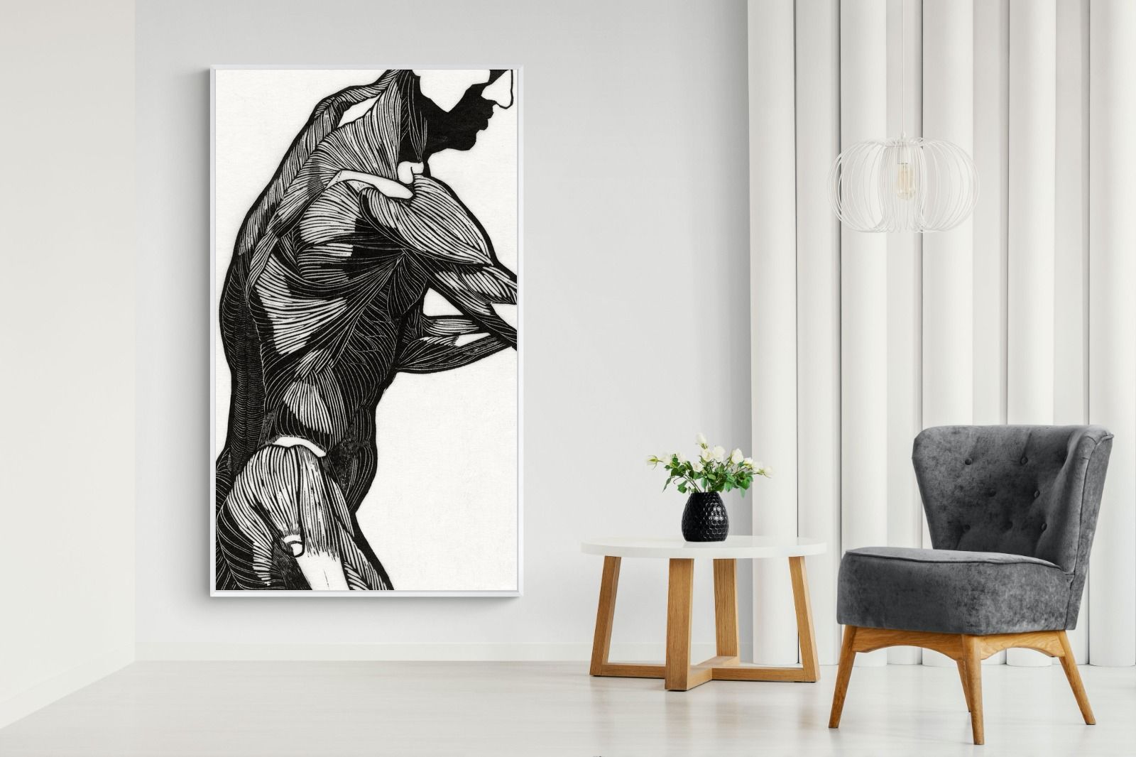 Pixalot Anatomical Study