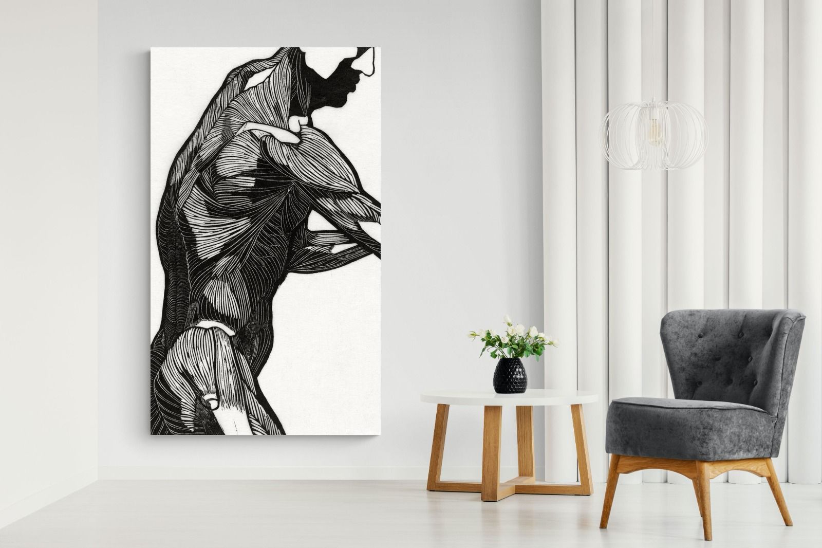 Pixalot Anatomical Study