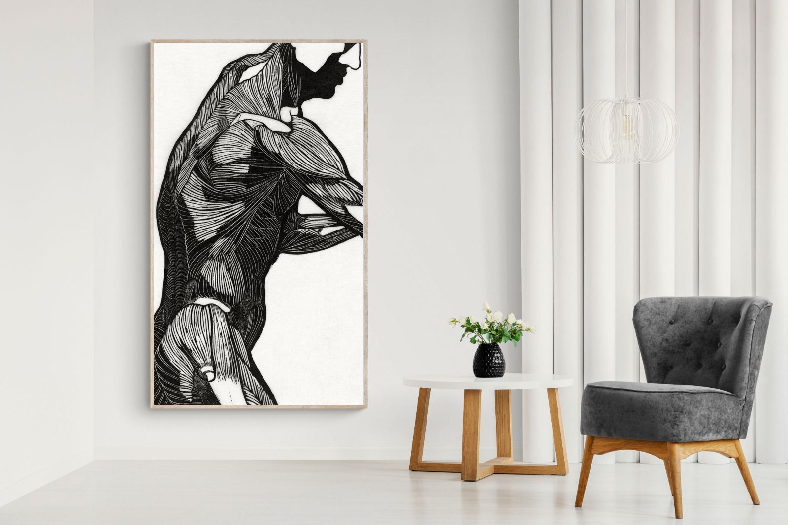 Pixalot Anatomical Study