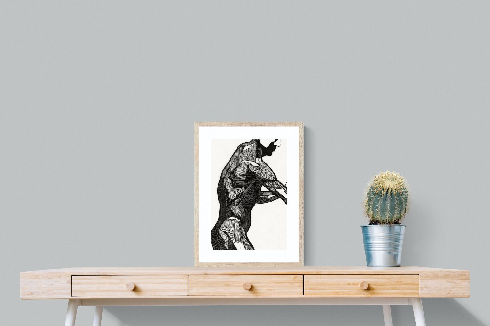 Pixalot Anatomical Study