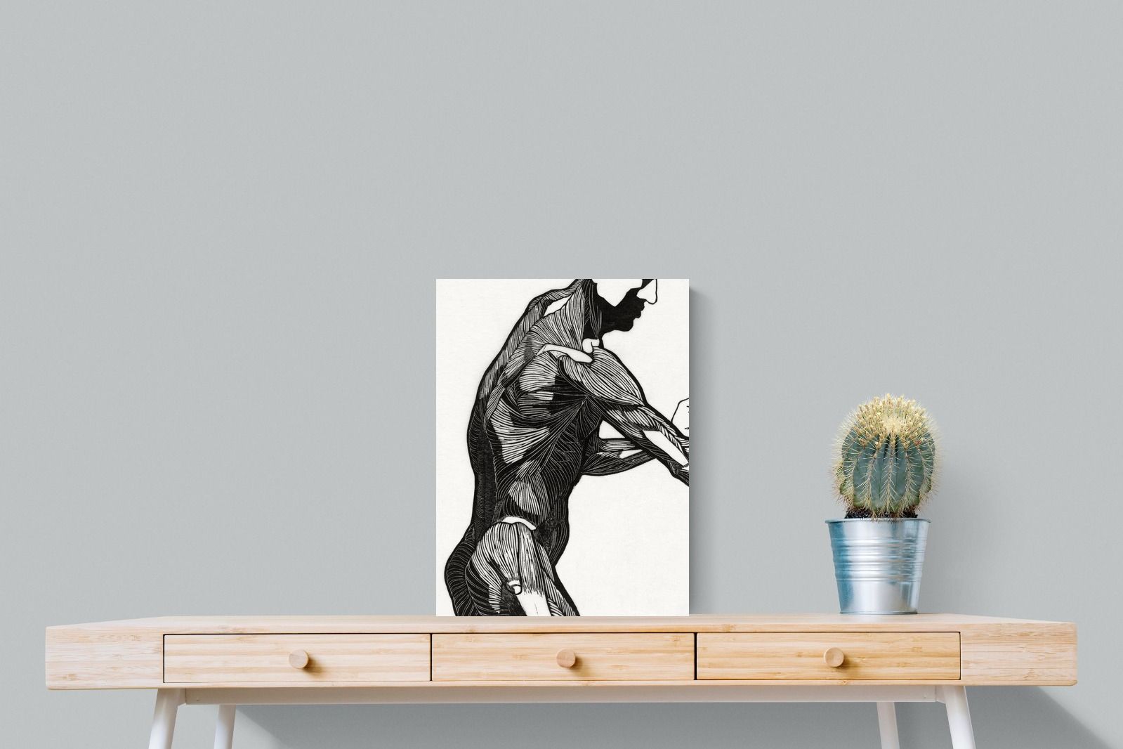 Pixalot Anatomical Study