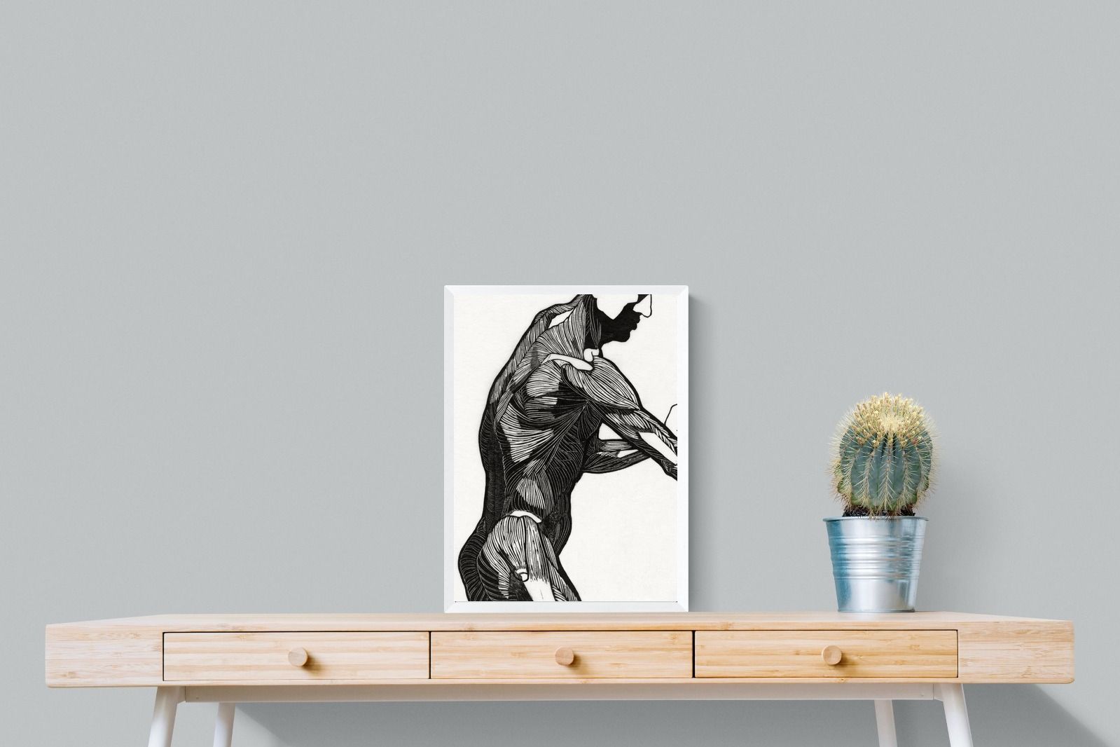 Pixalot Anatomical Study