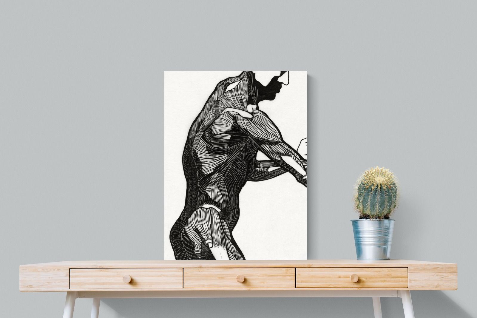 Pixalot Anatomical Study