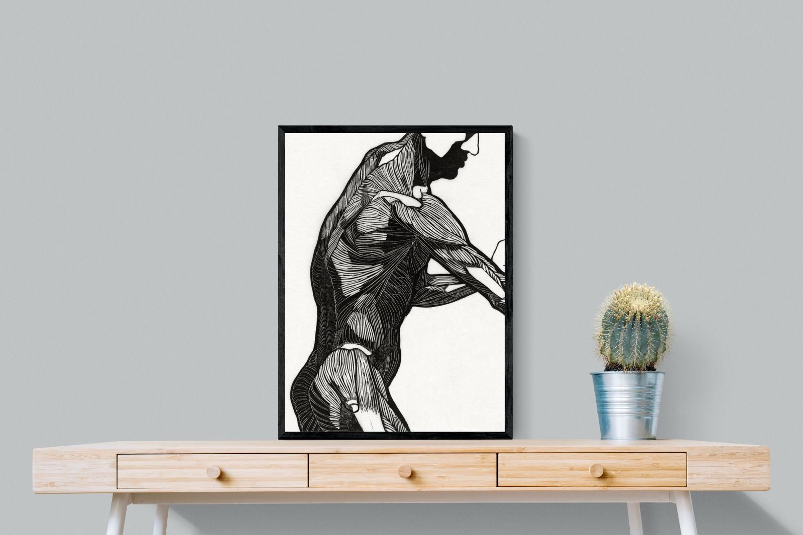 Pixalot Anatomical Study