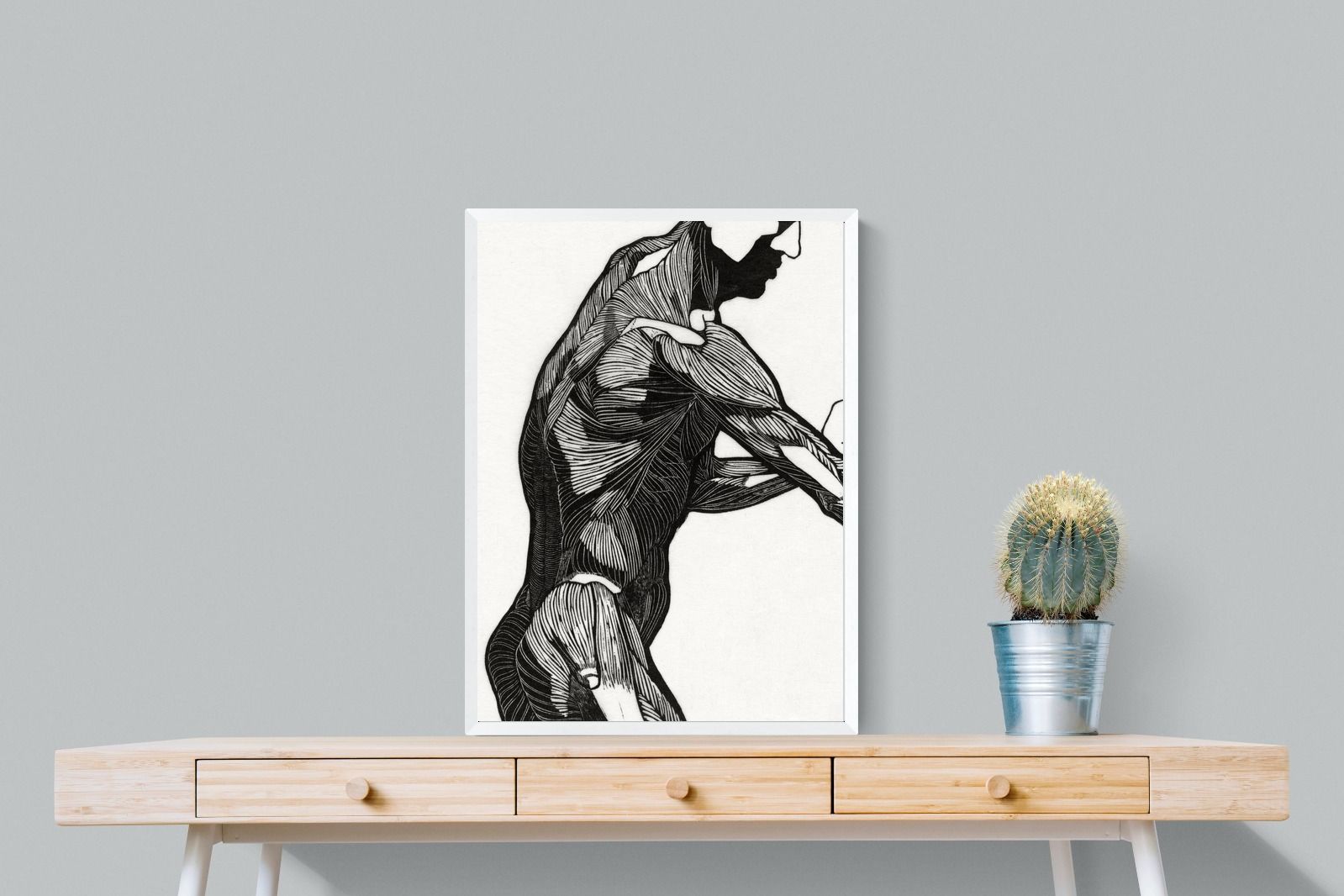 Pixalot Anatomical Study