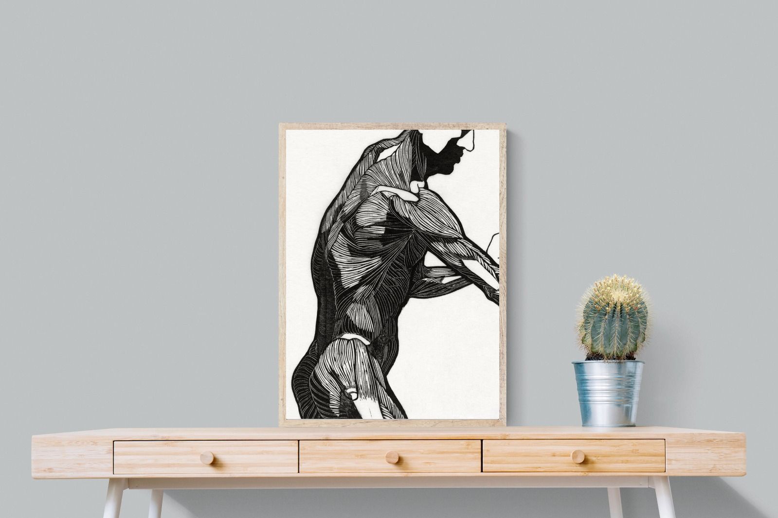 Pixalot Anatomical Study