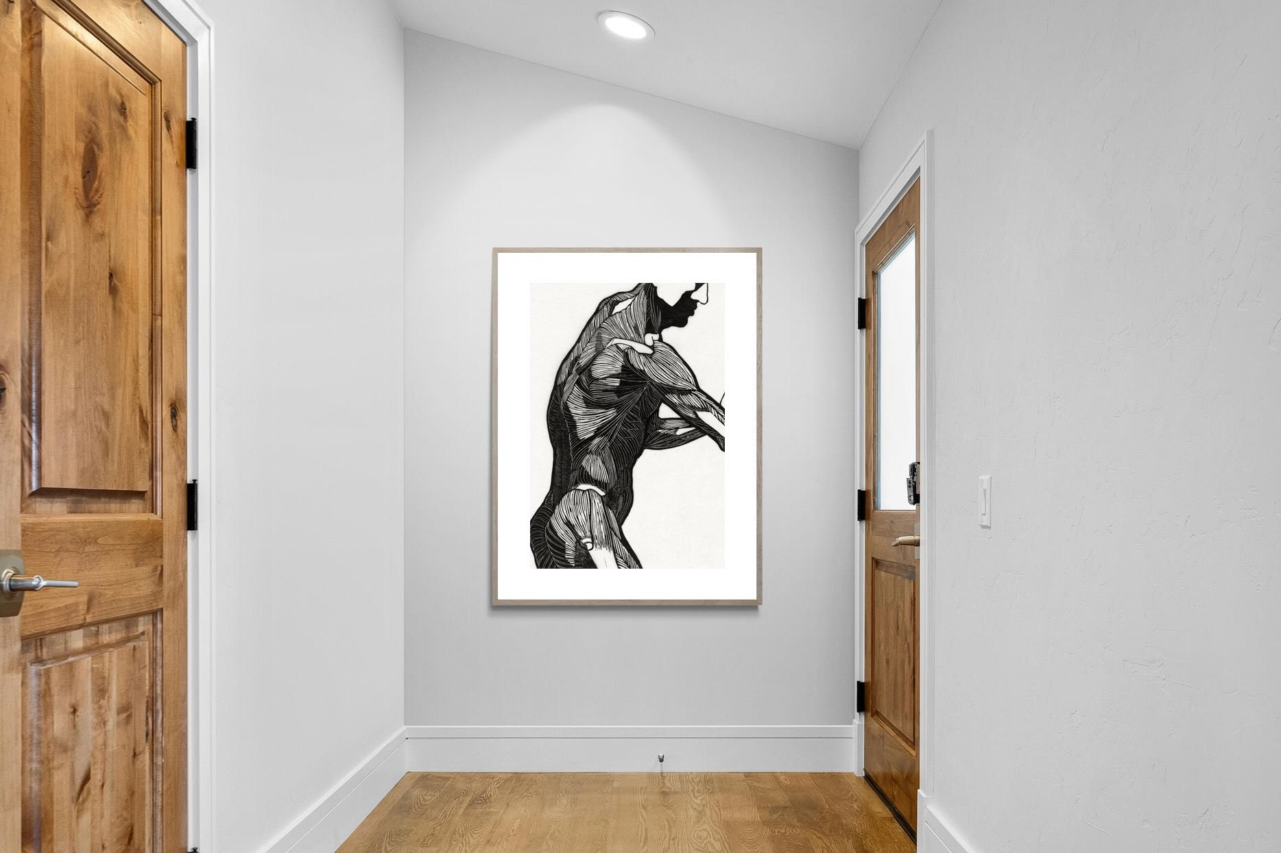 Pixalot Anatomical Study