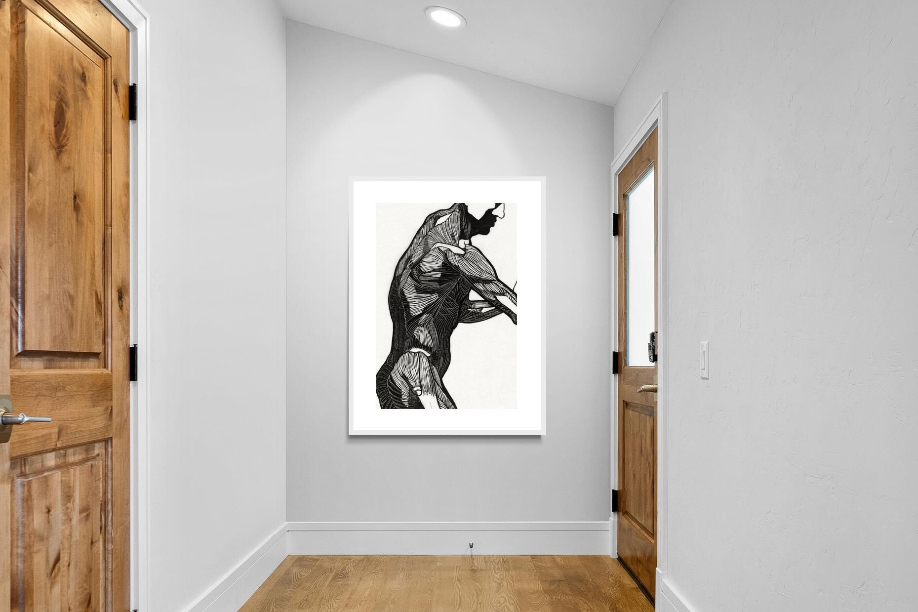 Pixalot Anatomical Study