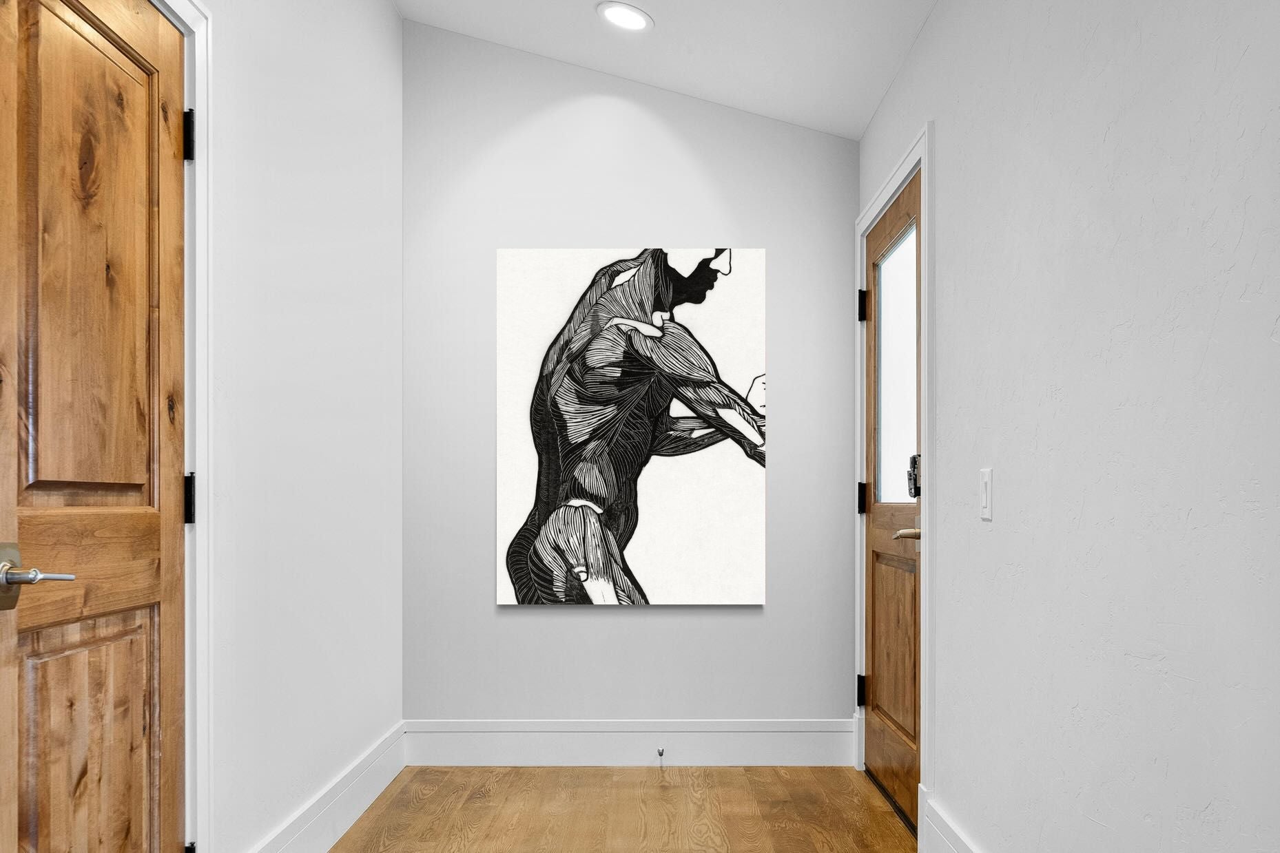 Pixalot Anatomical Study