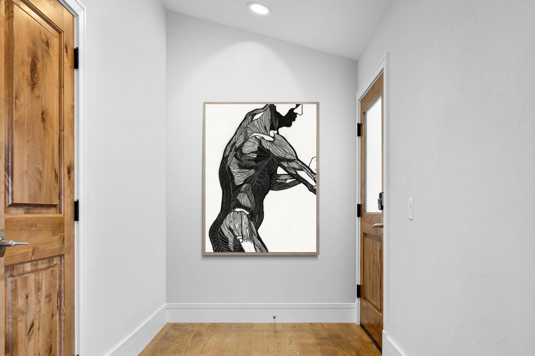 Pixalot Anatomical Study