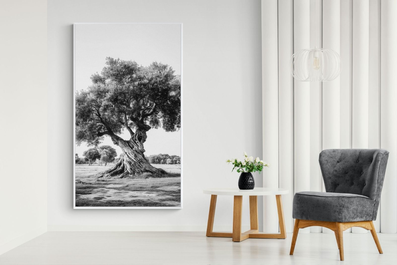Pixalot Ancient Olive Tree