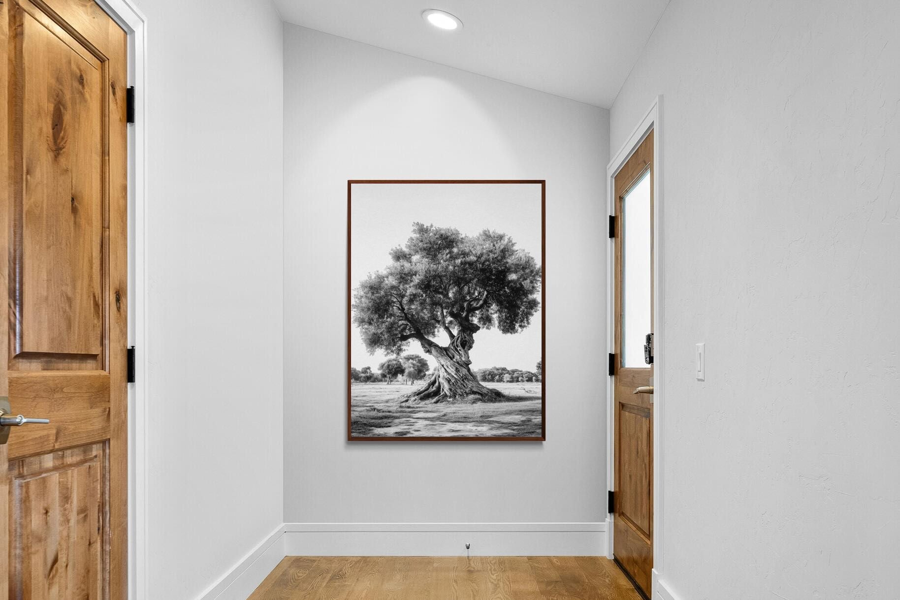 Pixalot Ancient Olive Tree