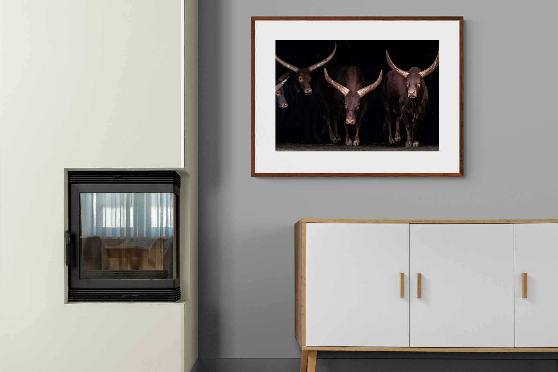 Pixalot ® Ankole-Watusi Herd