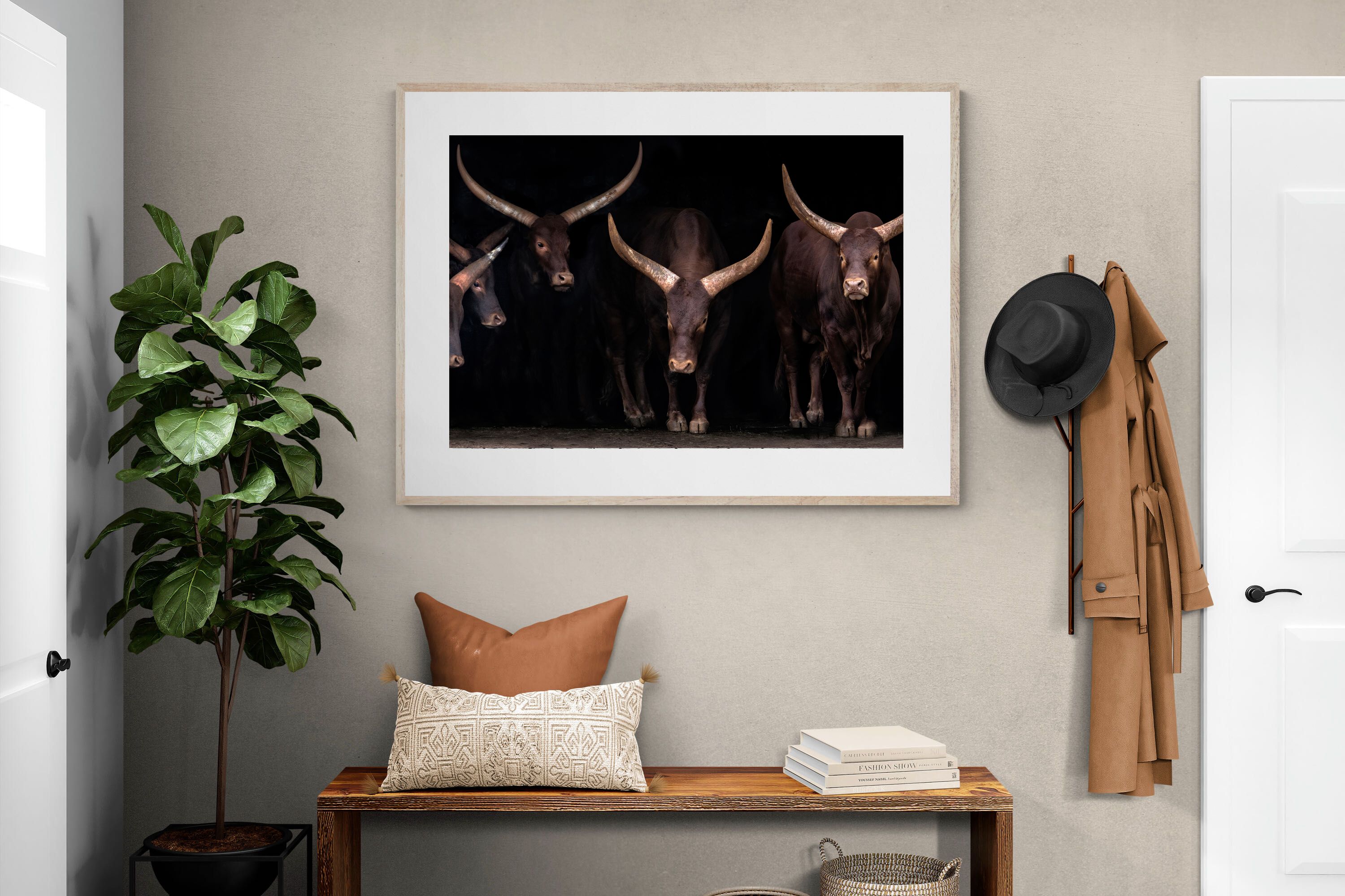 Pixalot Ankole-Watusi Herd