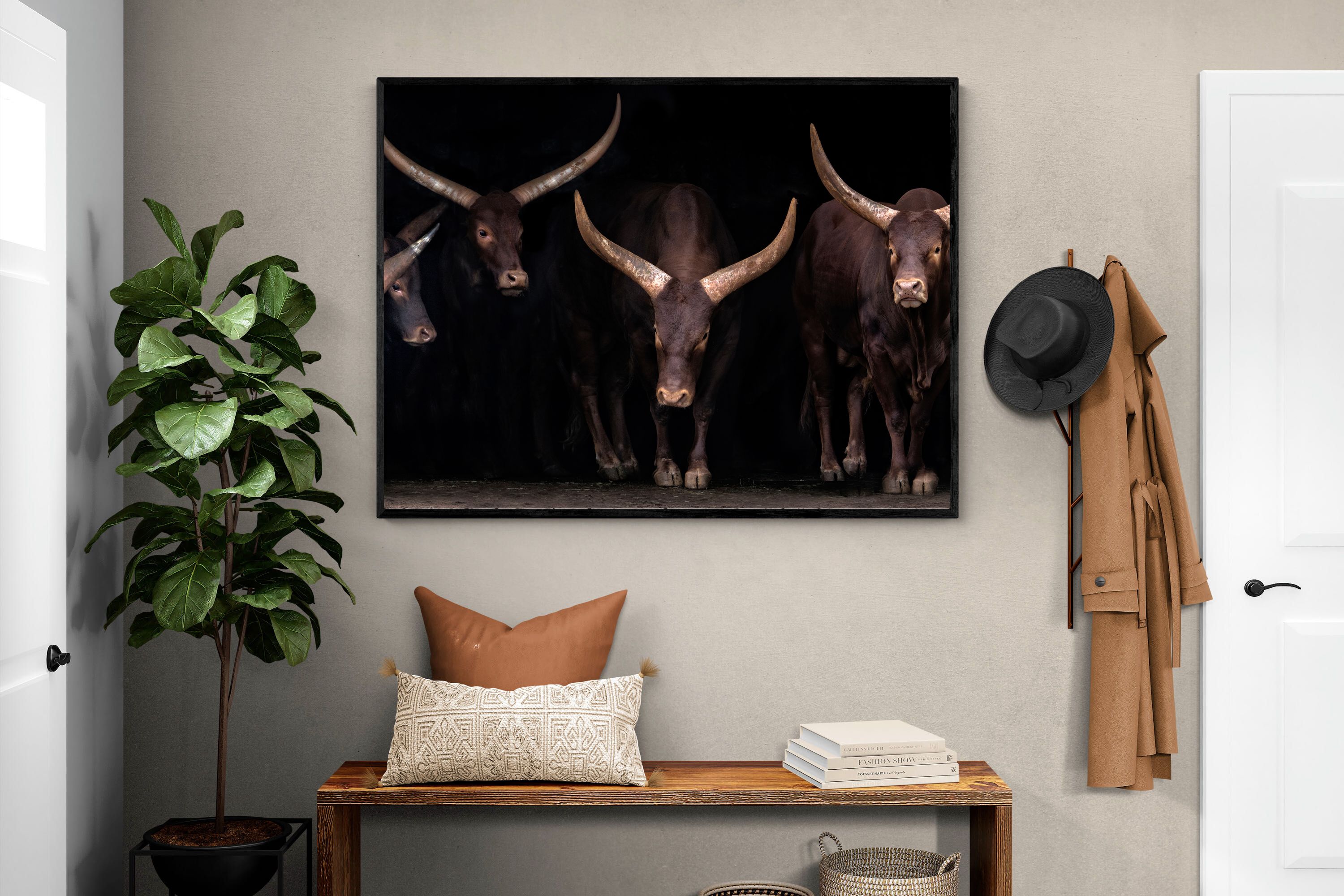 Pixalot Ankole-Watusi Herd